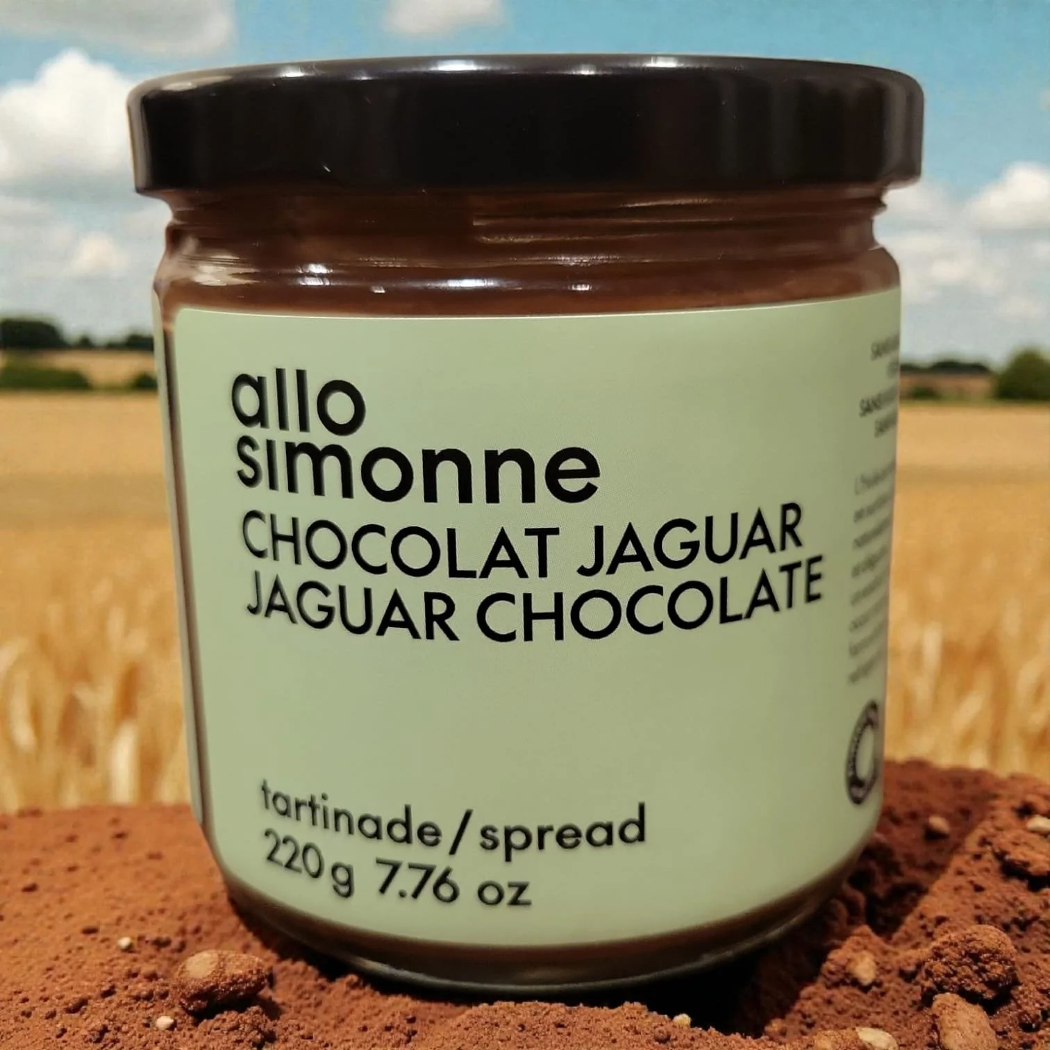 allo simonne jaguar spread front 2.jpeg