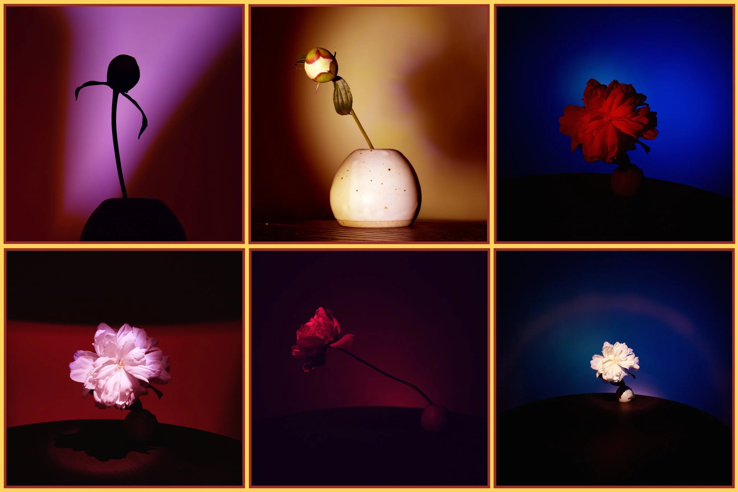 Alex Yunda-Raijer Escape Room 3.jpg