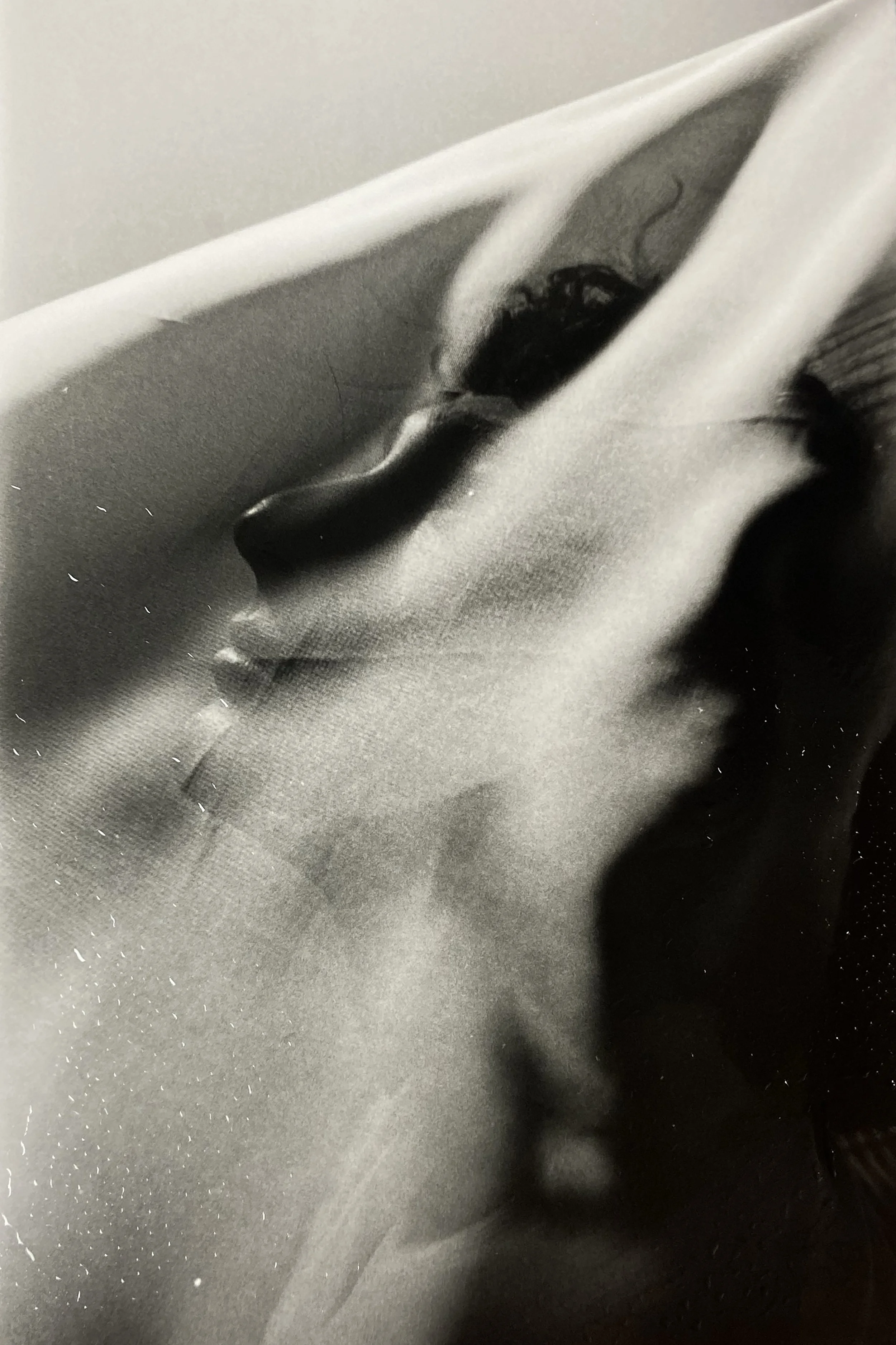 70275830738__44BC2CAF-AC72-4D55-A118-C61A3ED3B399 copy.jpg