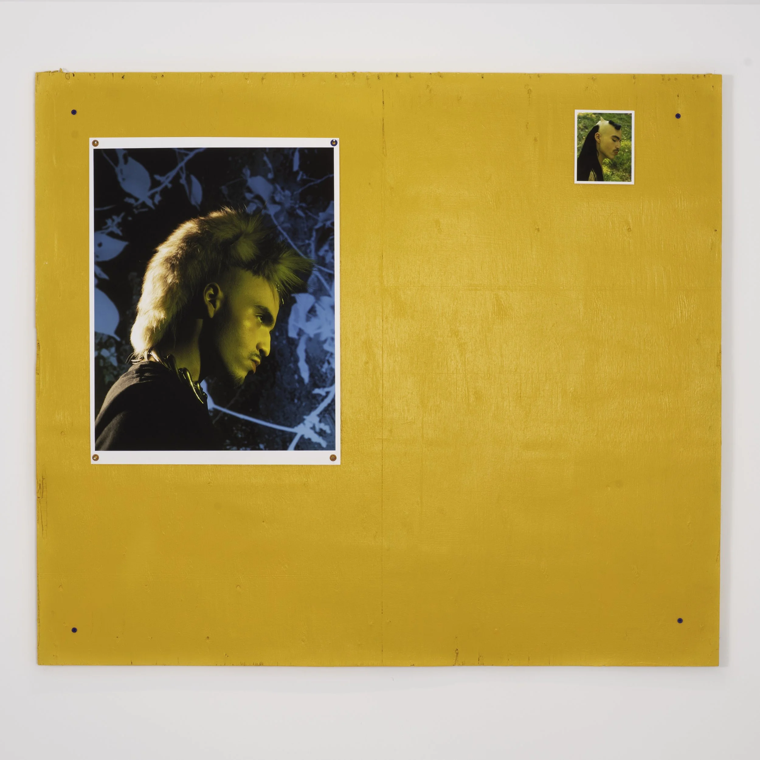 _DSC4255-Edit copy.jpg