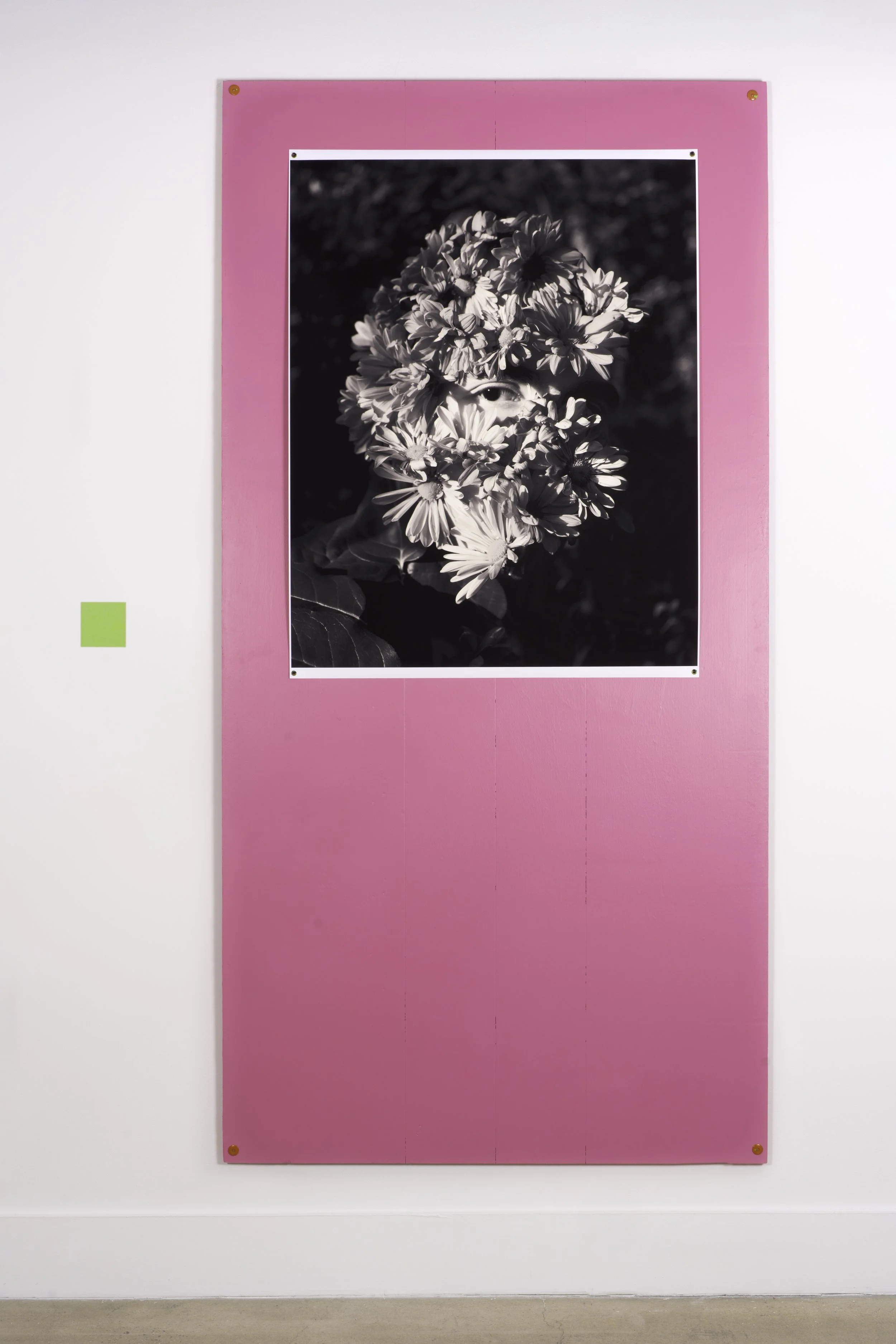 _DSC4278-Edit copy (ai expanded).jpg