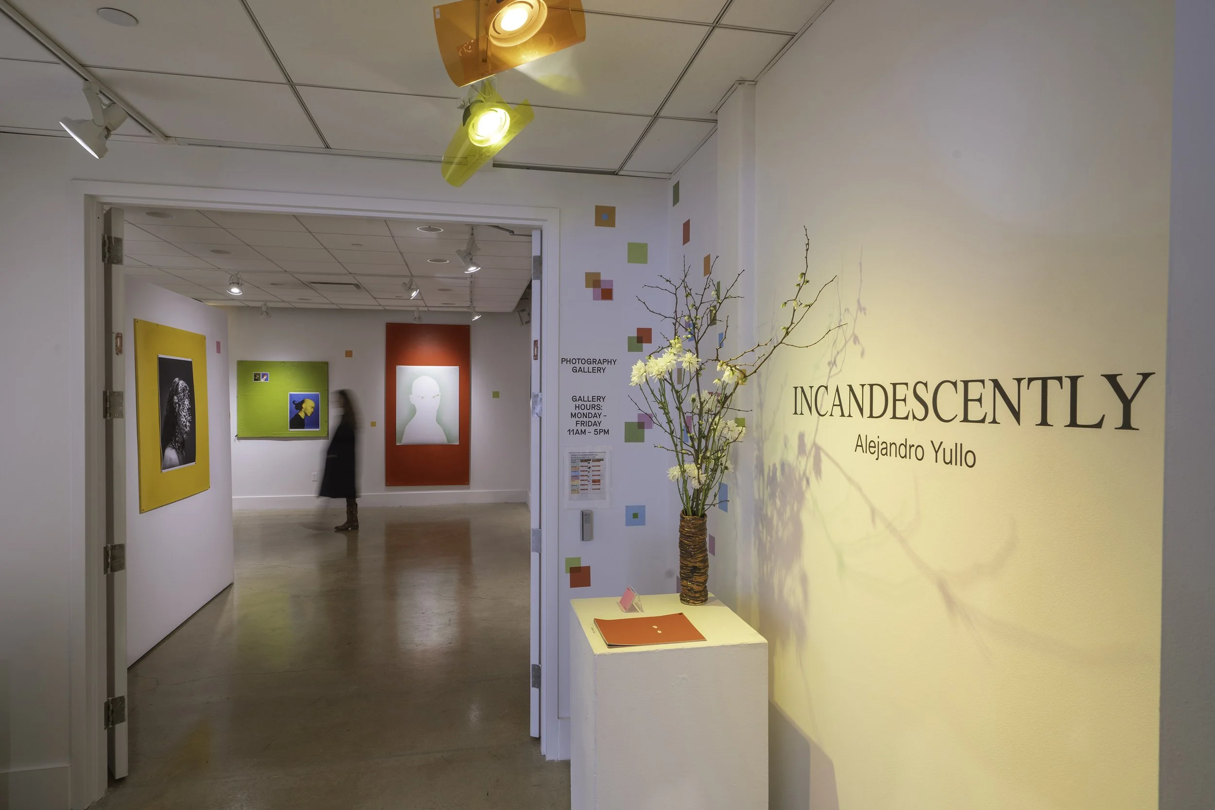 _DSC4221-Edit copy.jpg