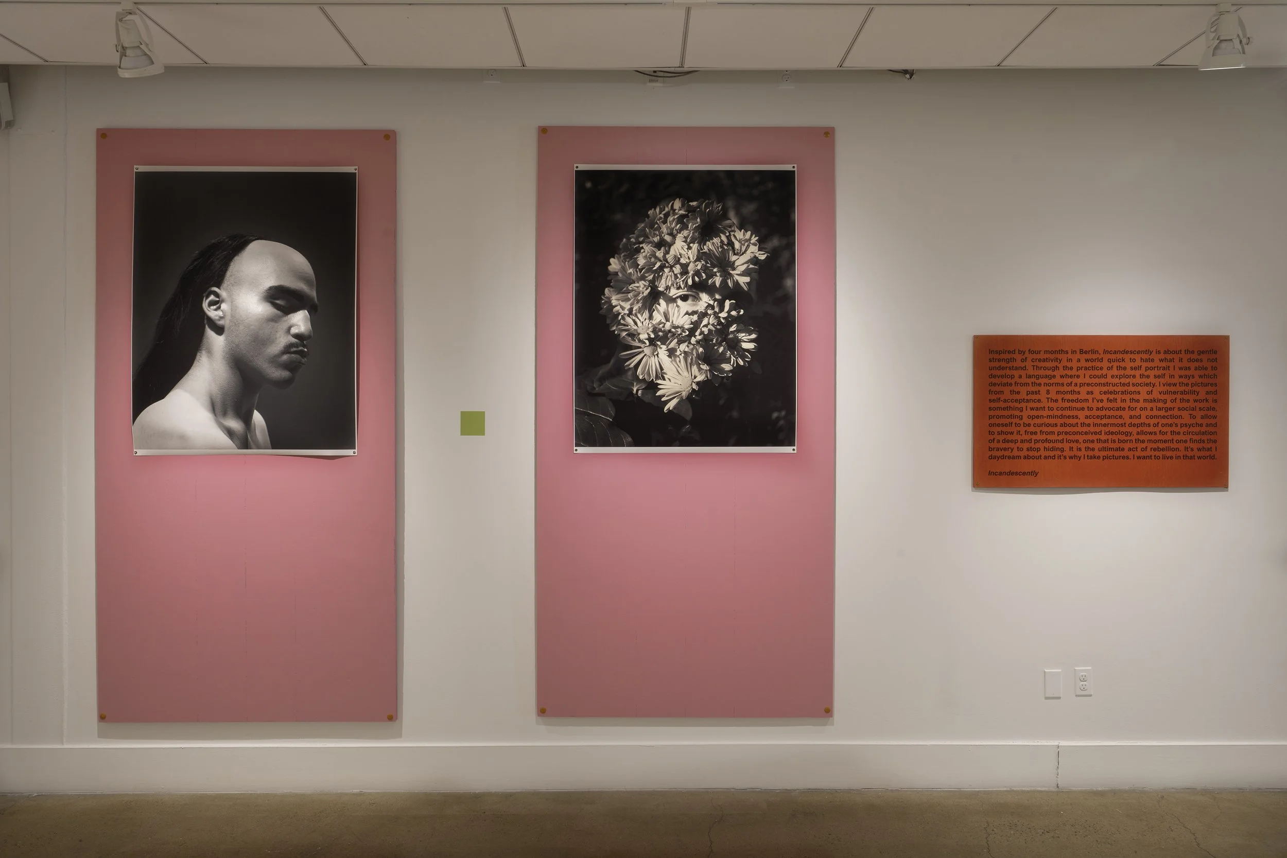 _DSC4195-Edit copy 2.jpg