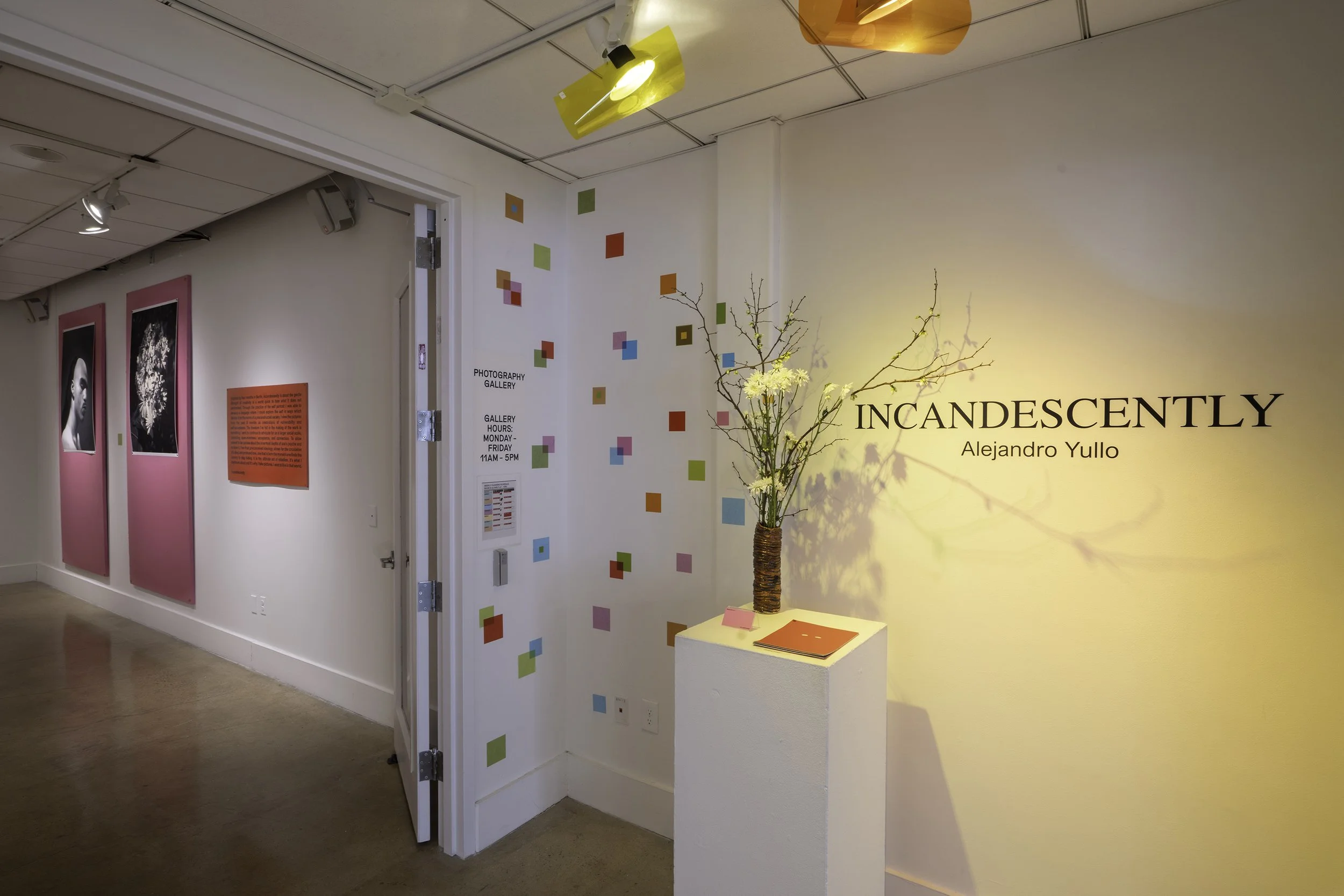 _DSC4212-Edit copy 2.jpg