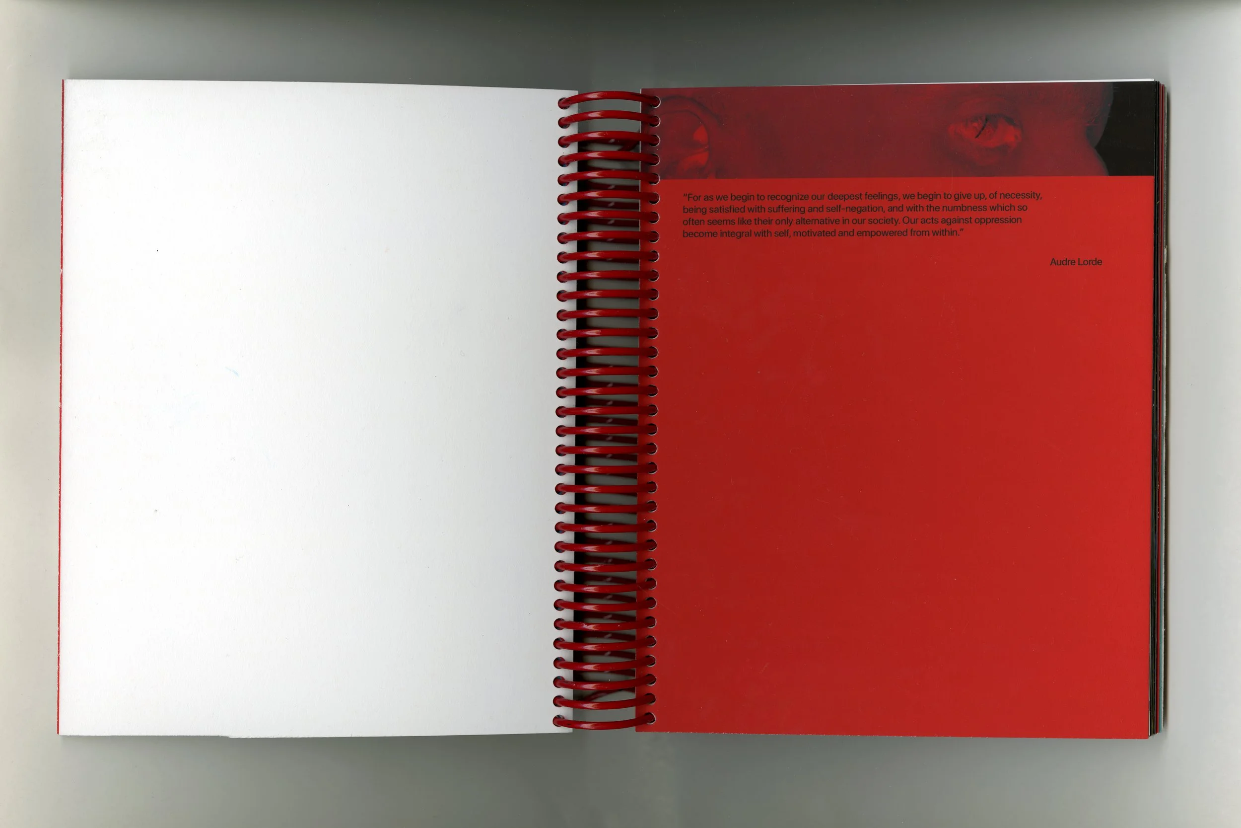 spread 2006 copy.jpg