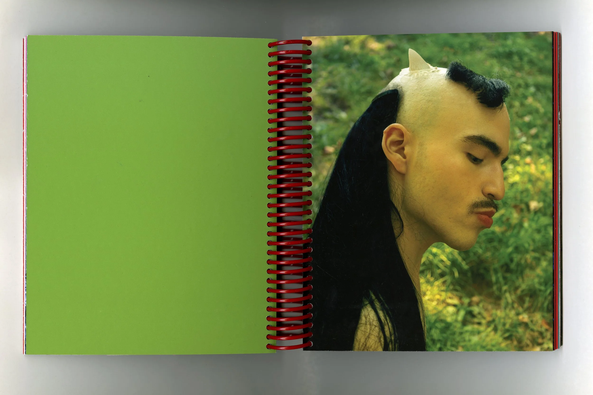 spread 6006 copy.jpg