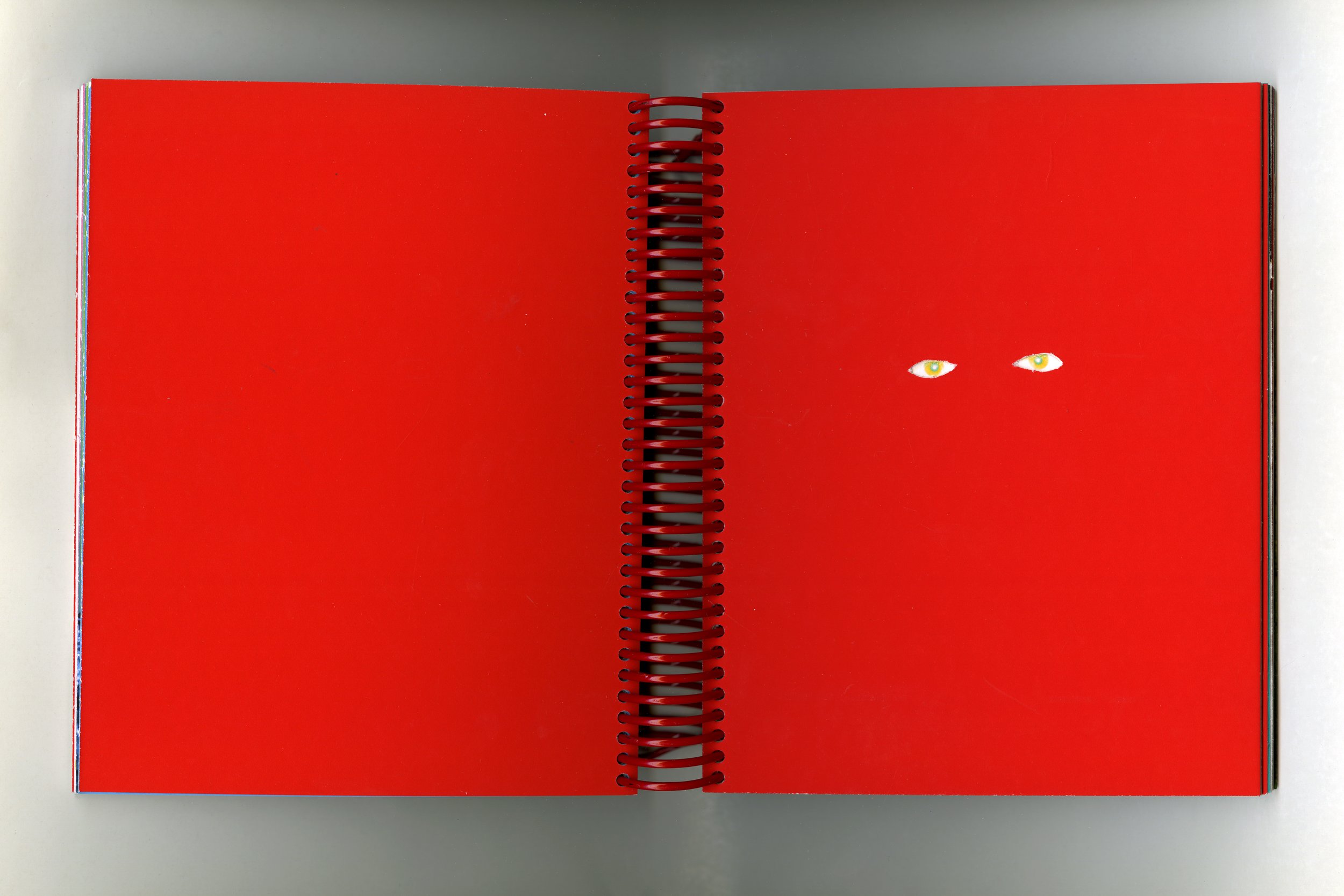 spread 8008 copy.jpg