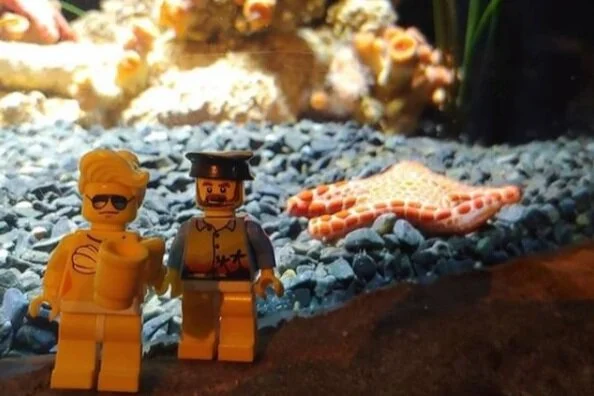 EPISODE 39 - The Rose Divorcee