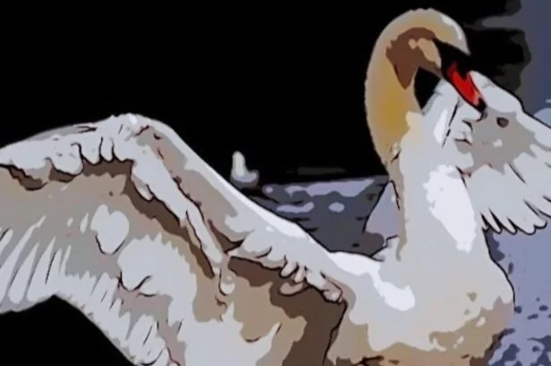 Artist of the Day | ROGUE SPECIES