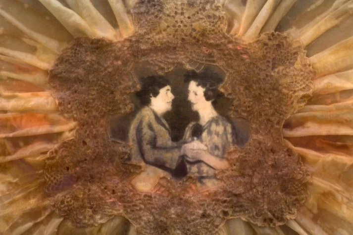 Artist of the Day | CARPET OF HORSES