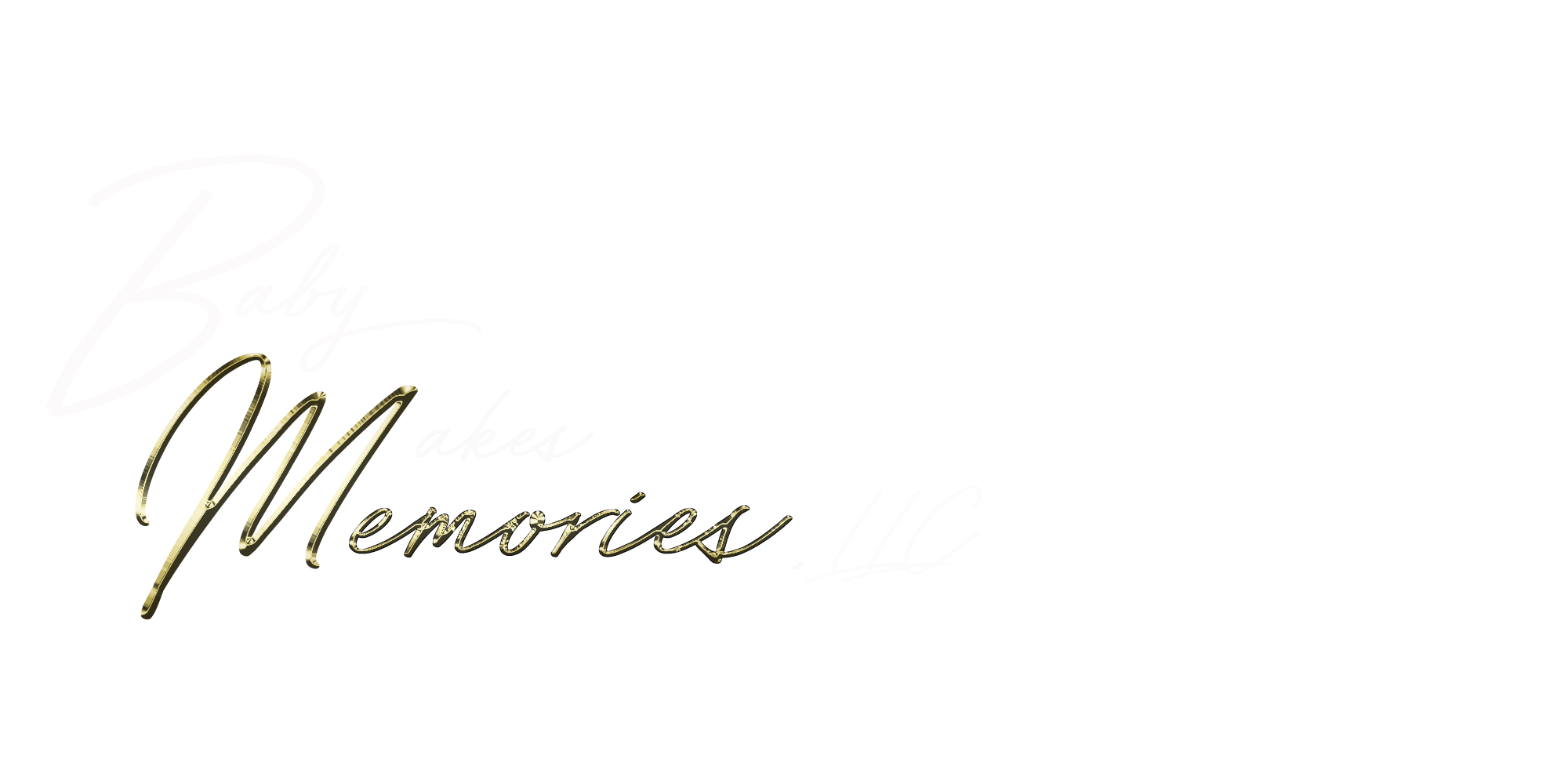baylogowhitepng.png