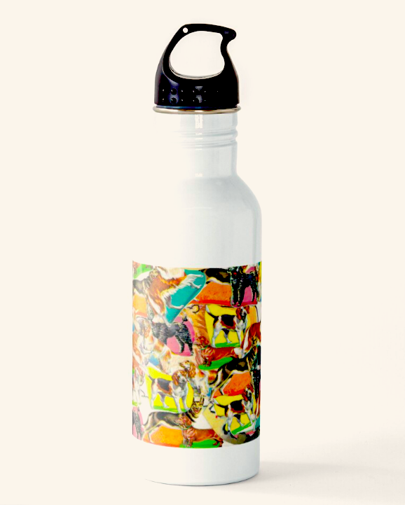 Water Bottles