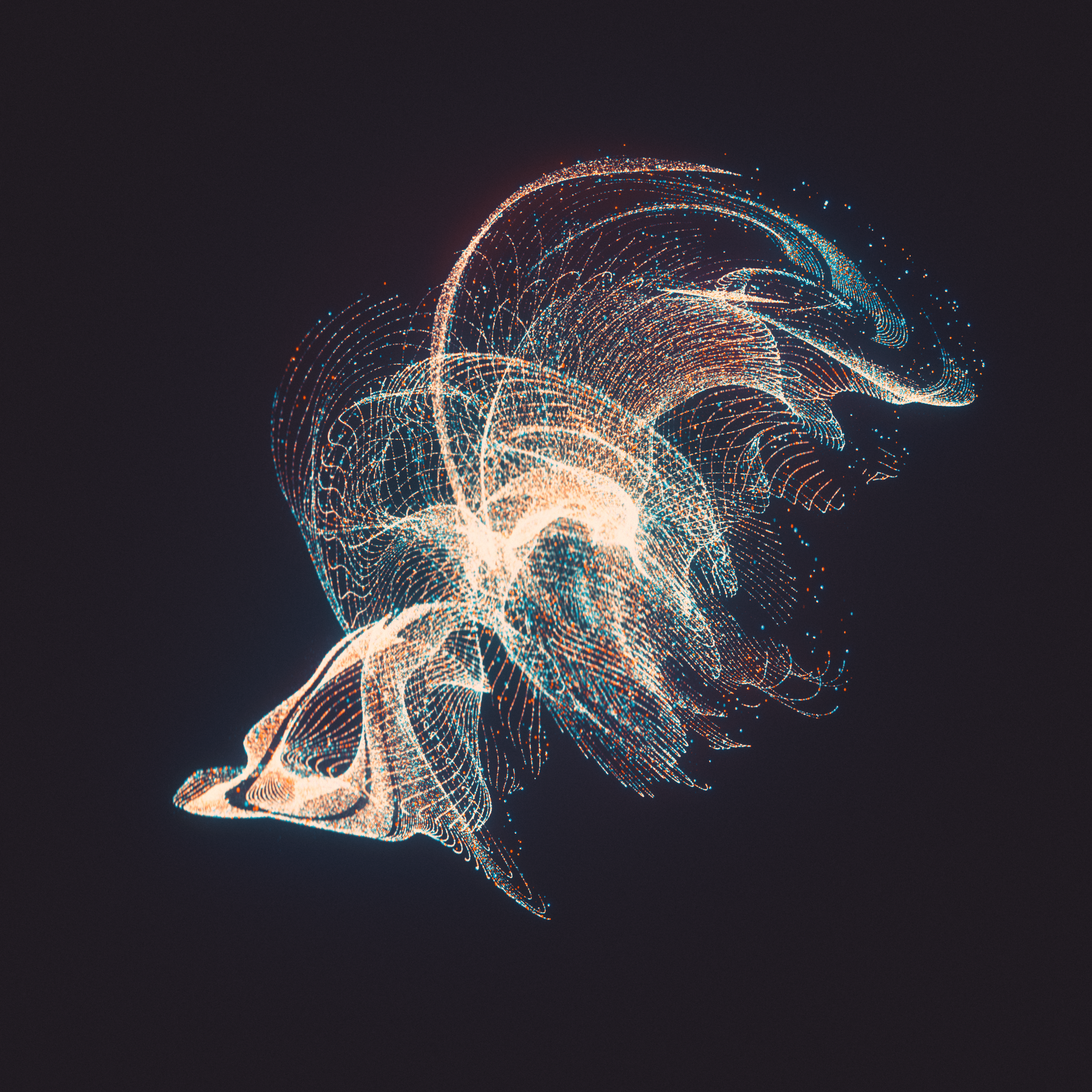 Night Phases (LP) — Cyrus Reynolds