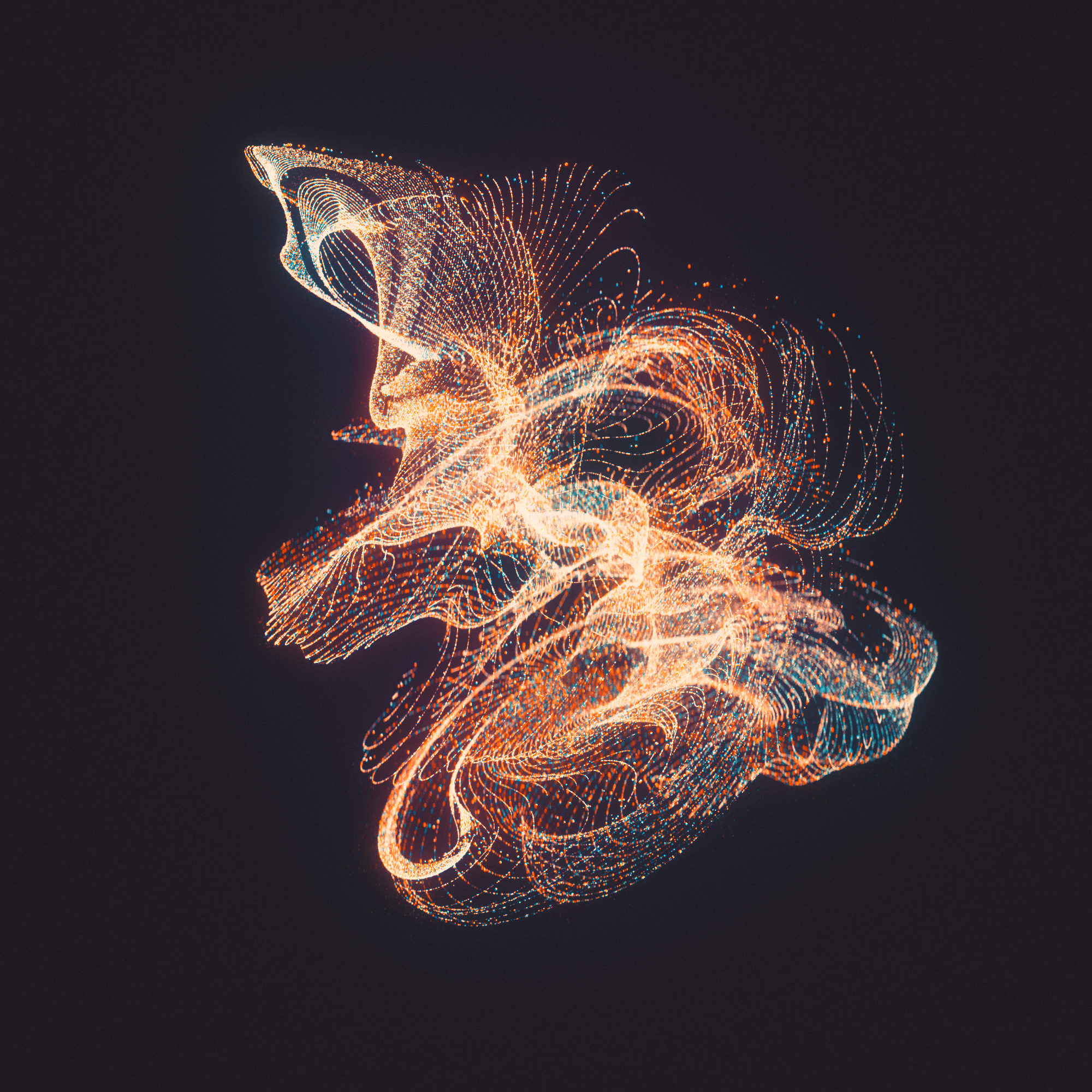 Night Phases (LP) — Cyrus Reynolds