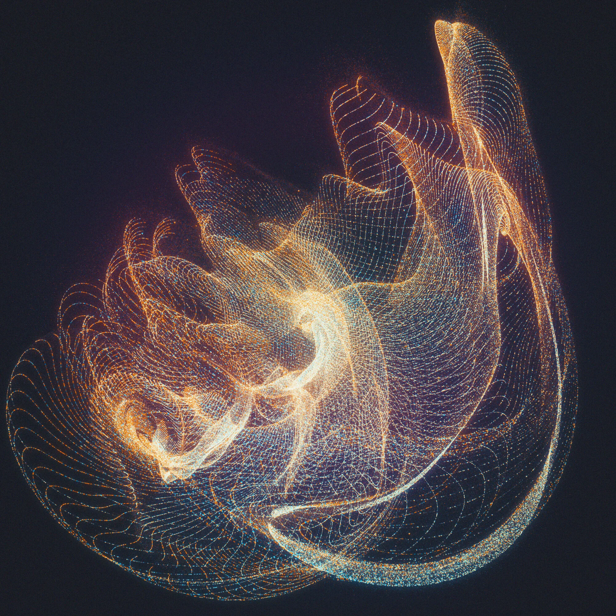 Night Phases (LP) — Cyrus Reynolds