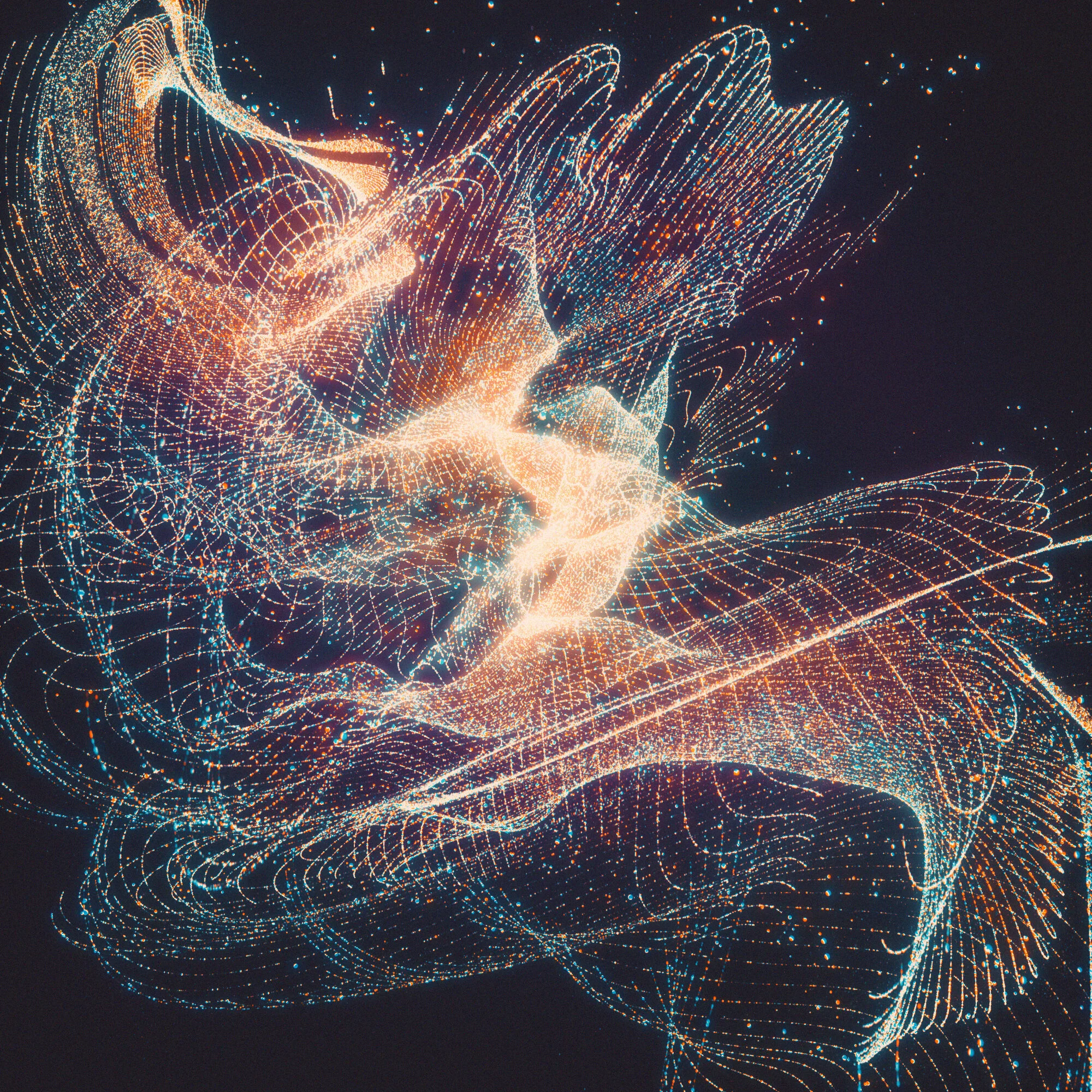 Night Phases (LP) — Cyrus Reynolds
