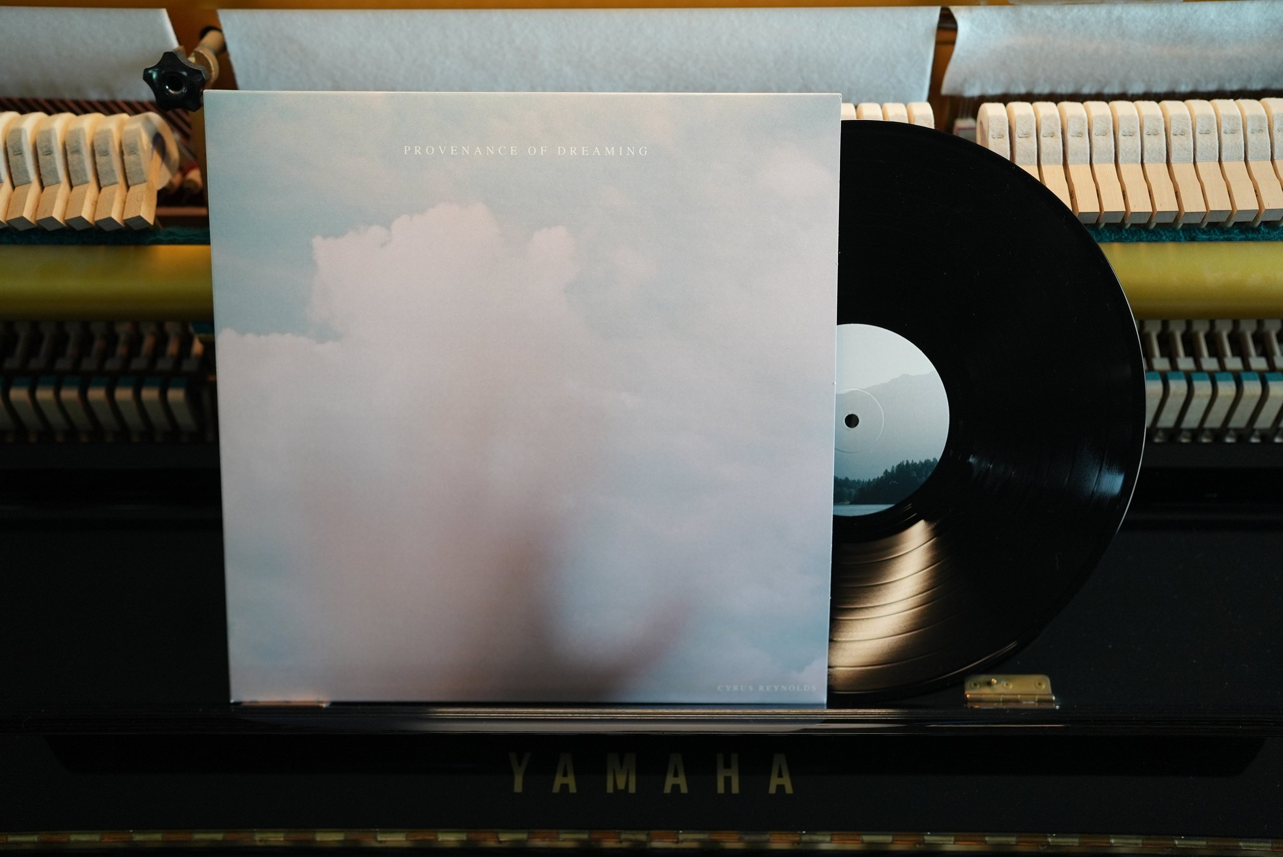 Provenance of Dreaming LP02