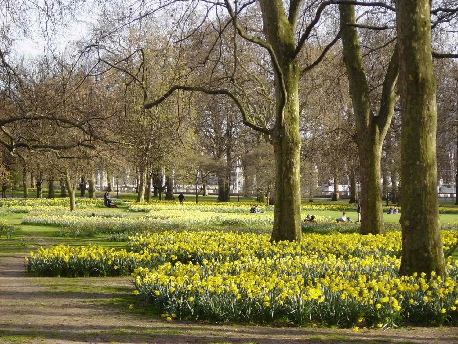 Springtime in London's Royal Parks — Where my feet go