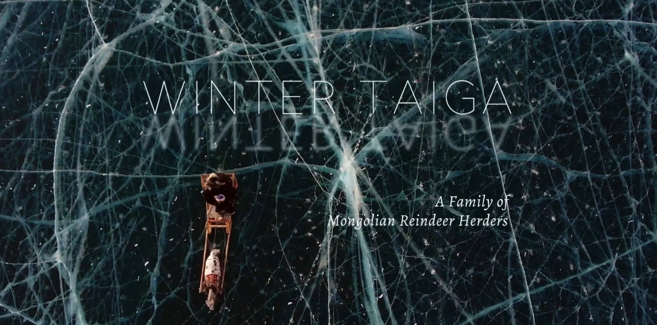 International Film - The Winter Taiga
