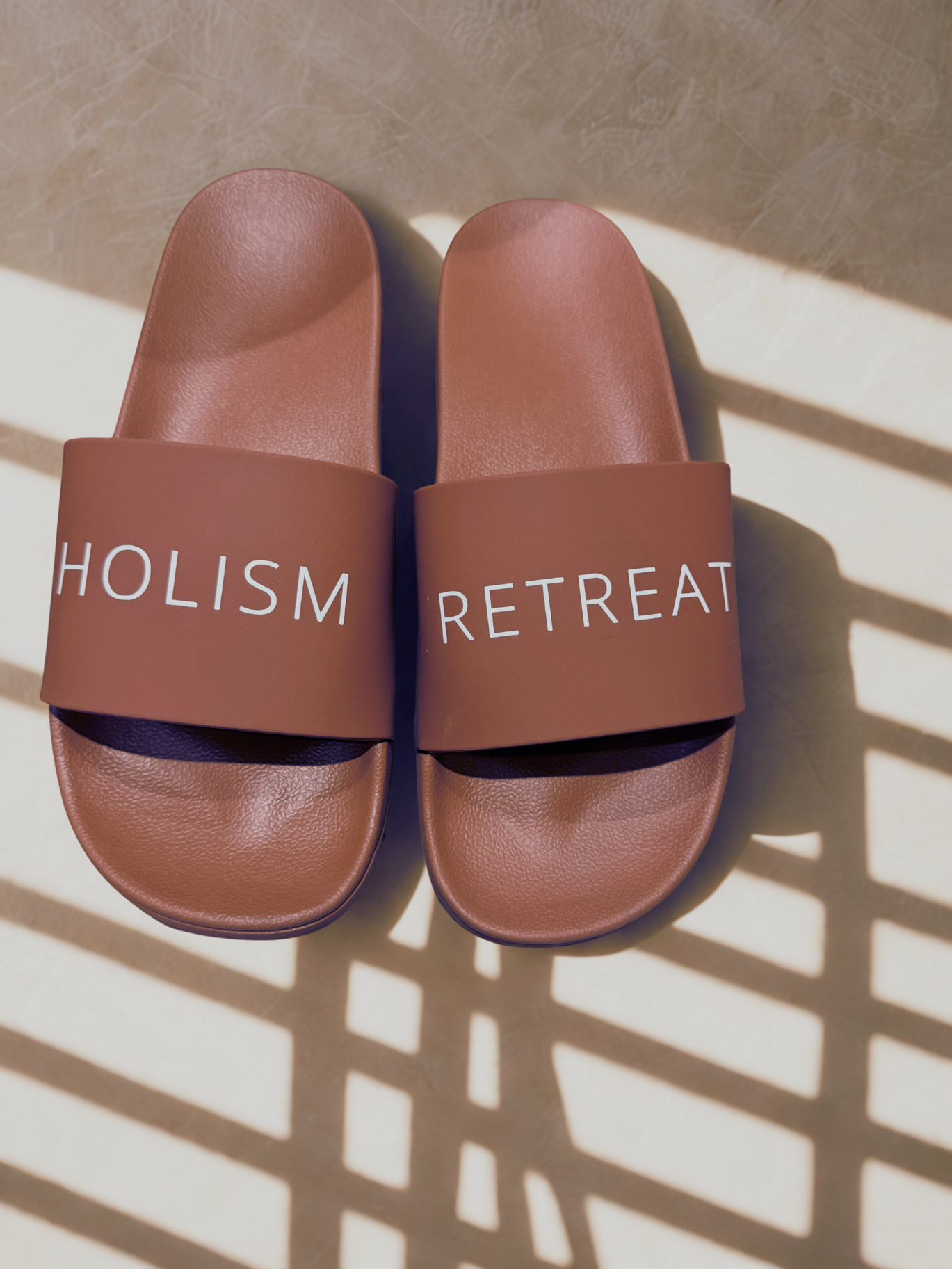 poolslides 1.png