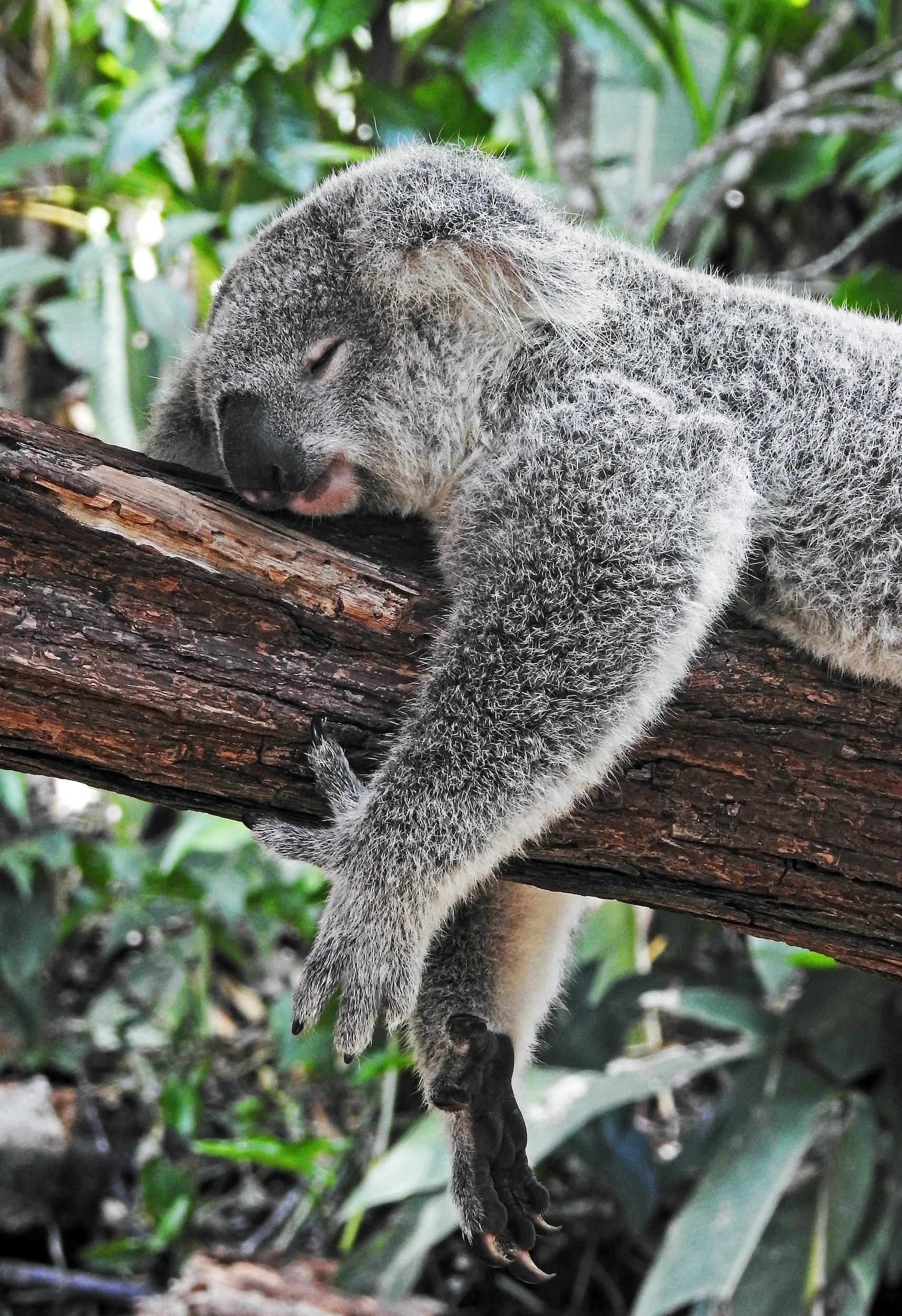 Six Easy Tips for Better Sleep