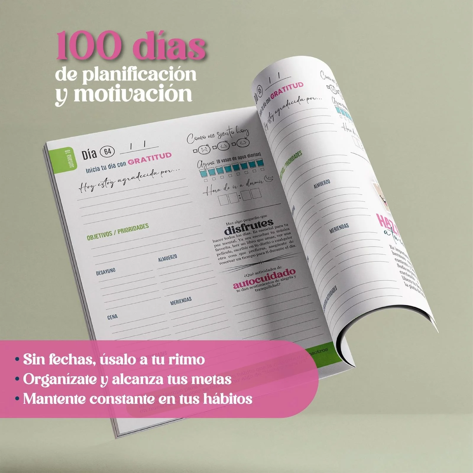 WhatsApp Image 2025-12-06 at 12.29.54 PM (2).jpeg