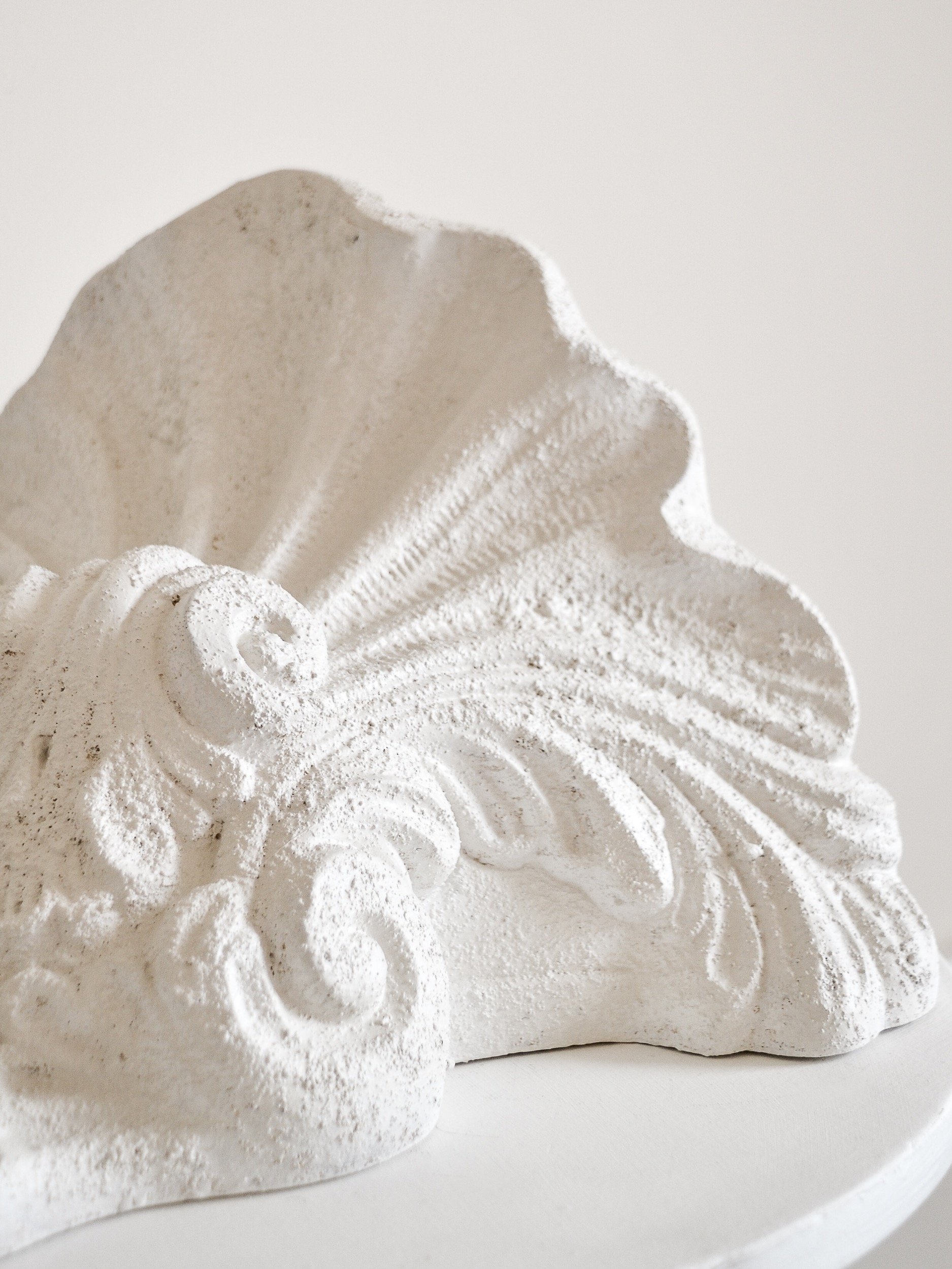 textured-shell-wall-sconce-pair-6-the-diarist.jpg