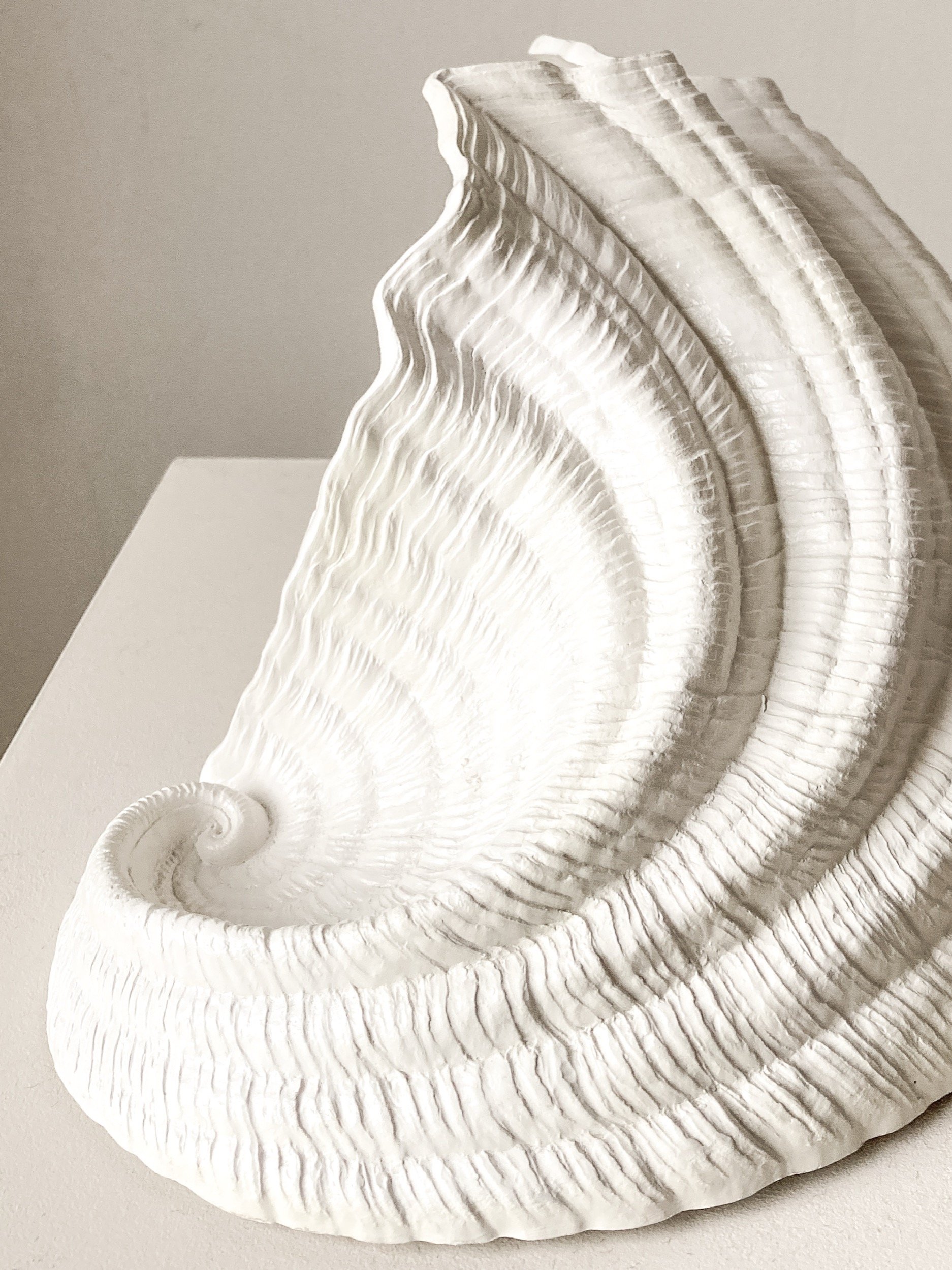 oversized-burwood-clam-shell-wall-light-4-the-diarist.jpg