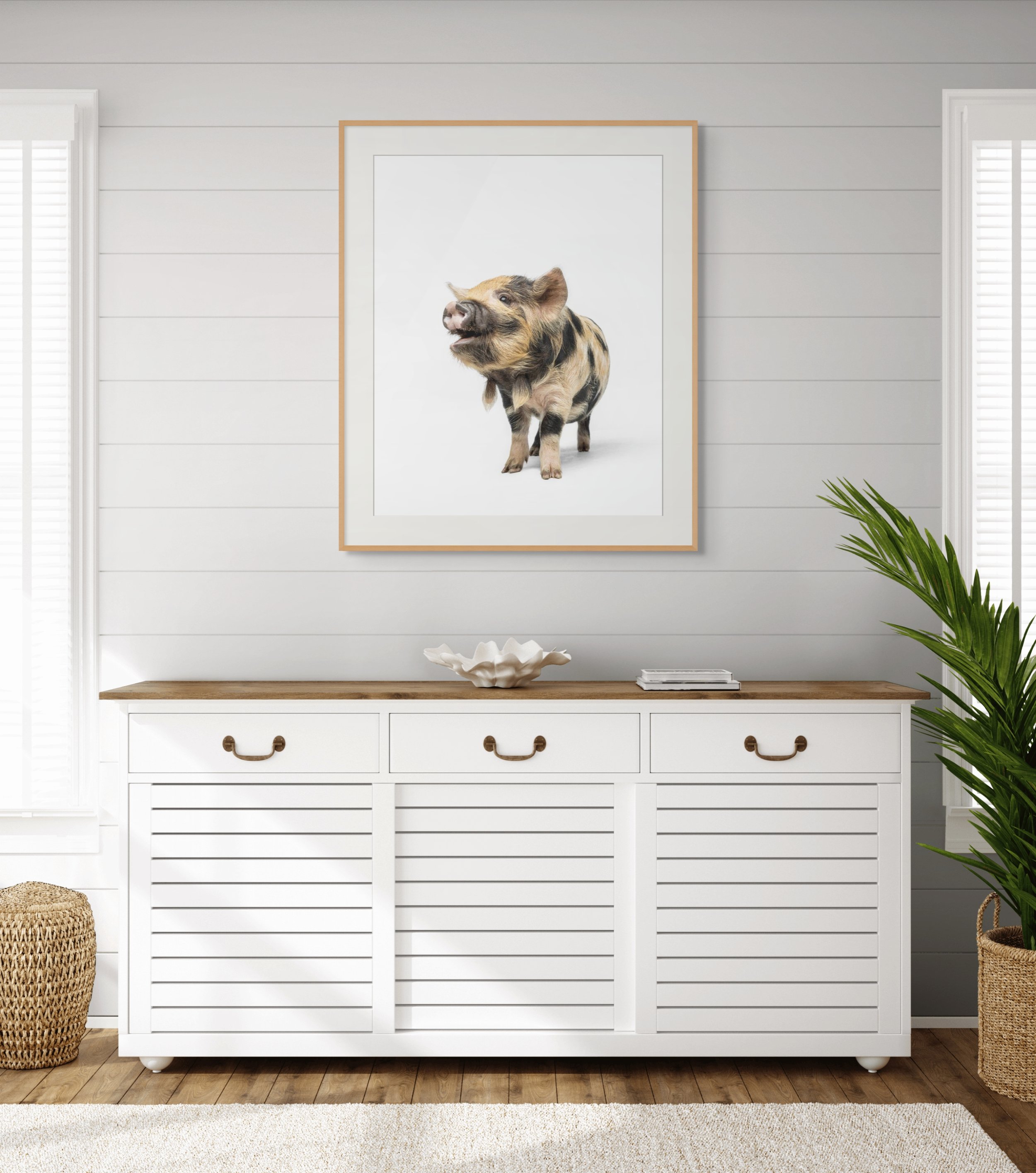 pumpkin the pig-2.jpg
