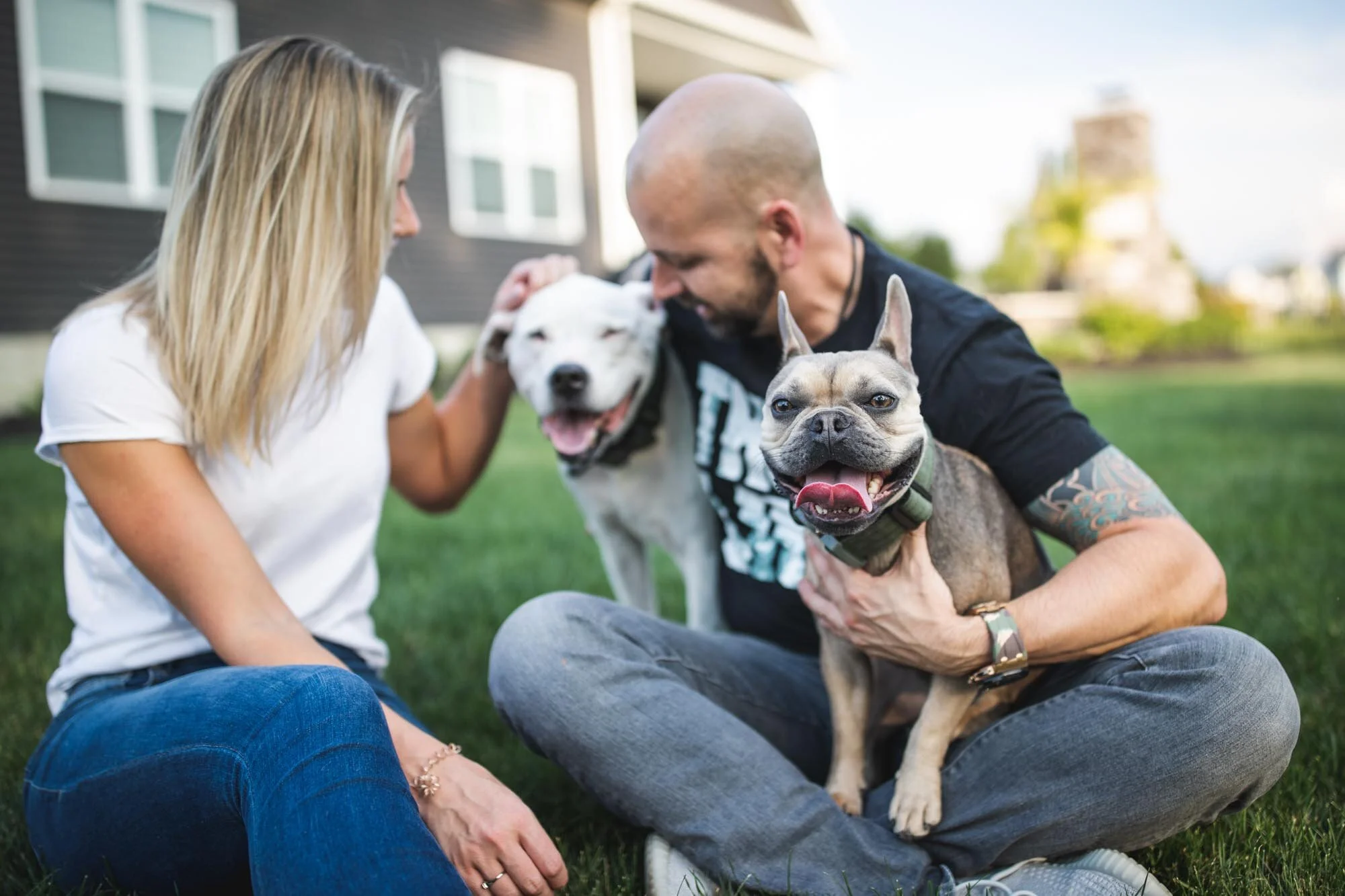 Cleveland pet photographer.jpg