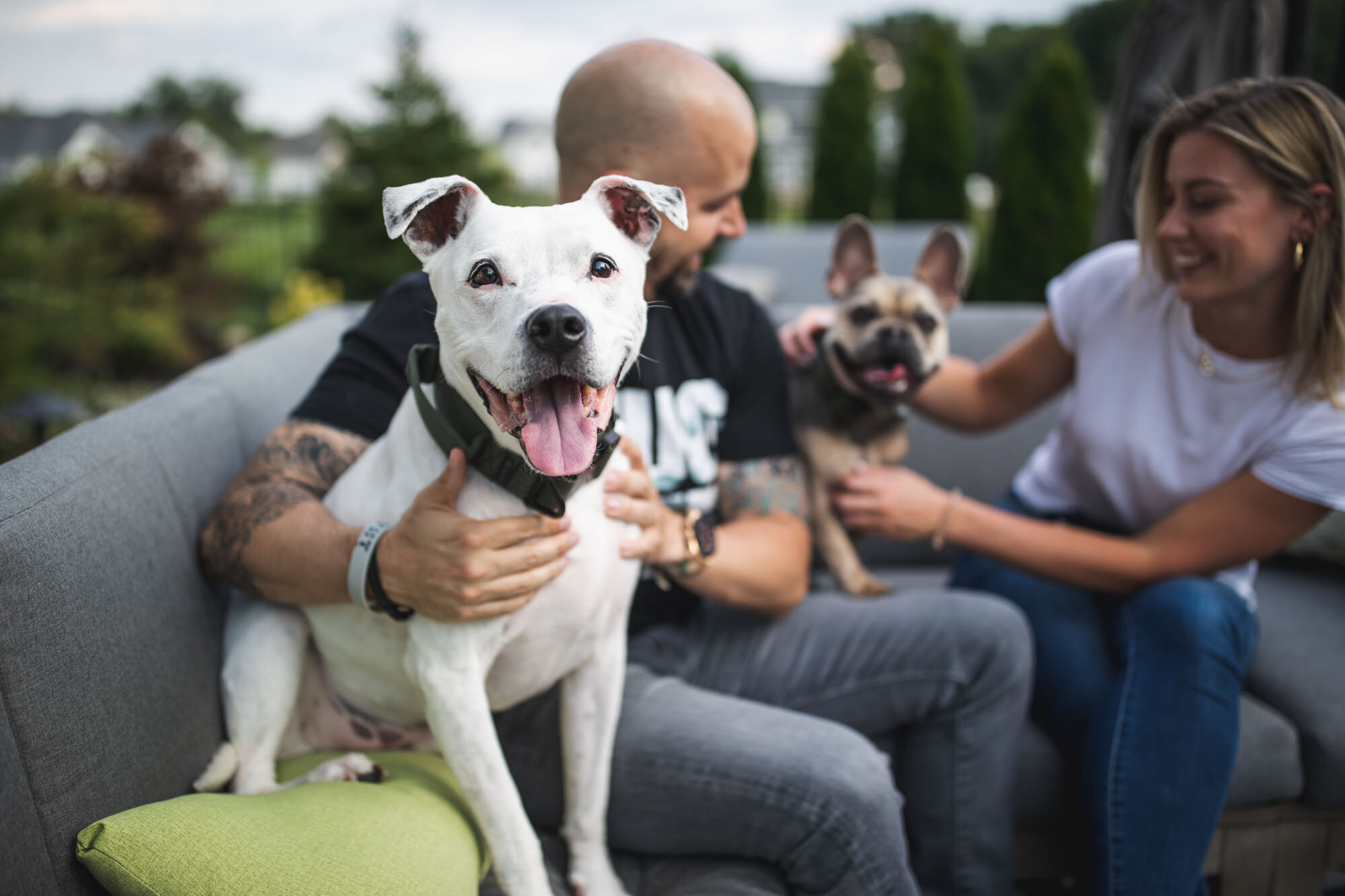 Krom, Pac &amp; Their Humans at Home