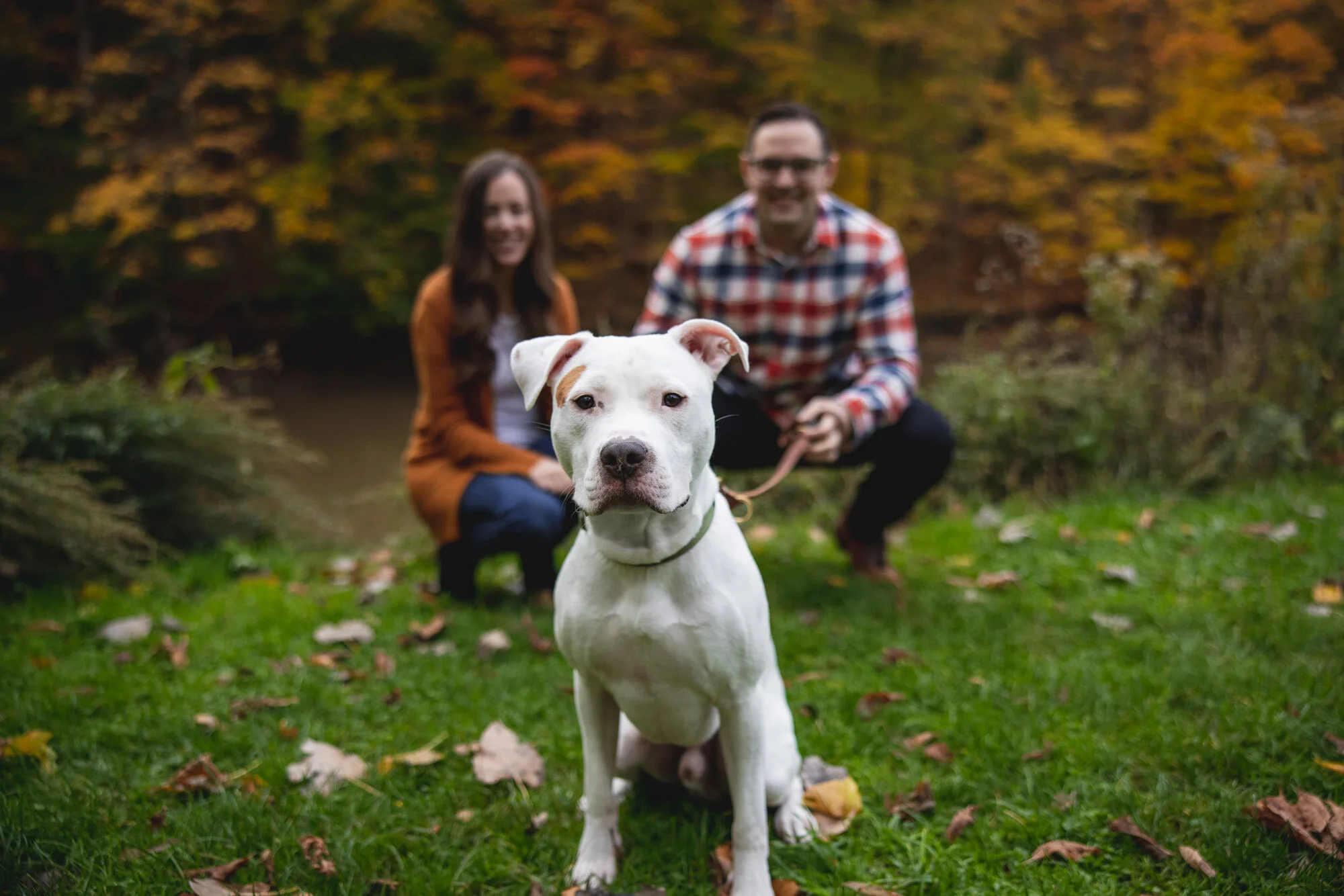 Chip and His Humans!