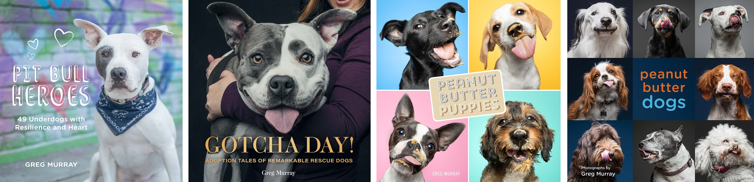 Studio Open House &amp; Pet Food Drive Friday, 12/15!