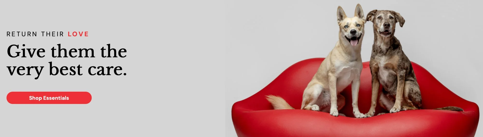 Greg Murray Photography | Cleveland based commercial pet photographer stock photography licensing | studio commercial pet photography-5.jpg