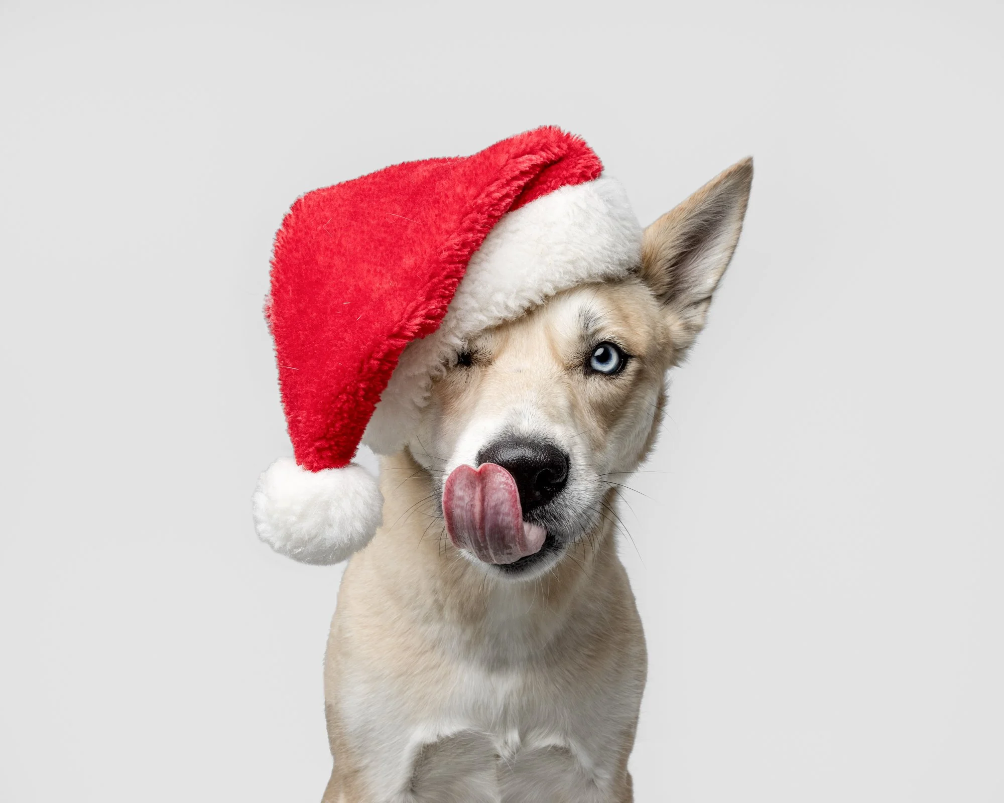 Fall 2025 Holiday Mini Sessions!