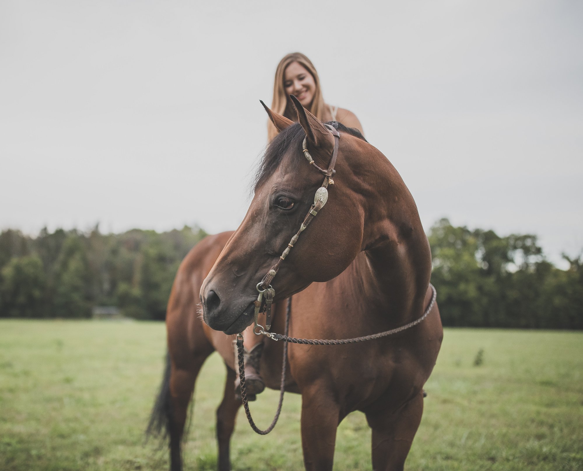 Ohio Equine Photoghrapher Greg Murray Equine Photography Geg Murray Photography.jpg