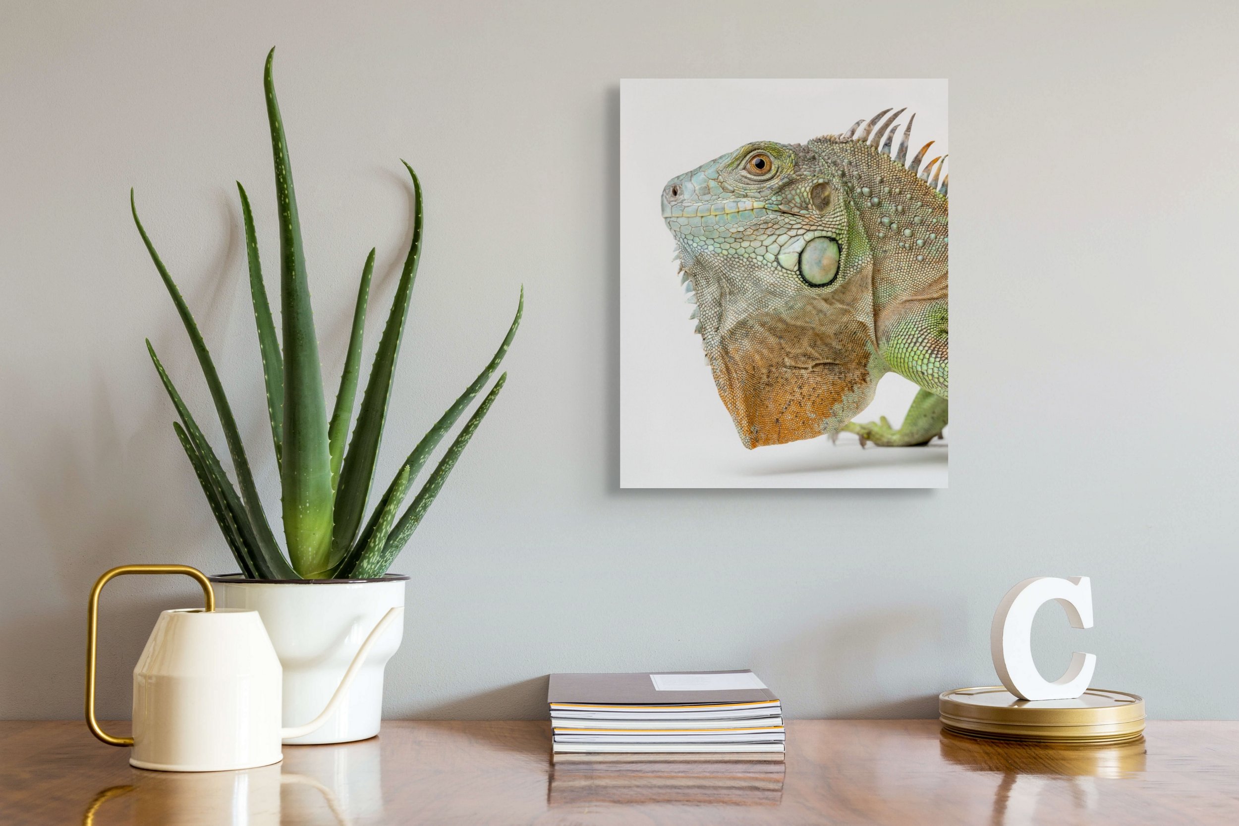 16x20 vincent-edit-edit copy 2-edit-2-full-2.jpg