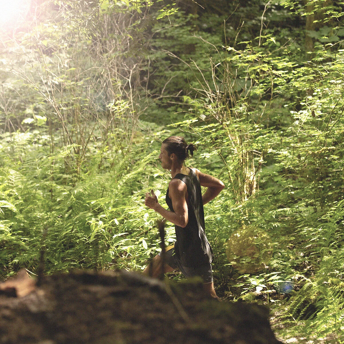 Mushin in the Mountains