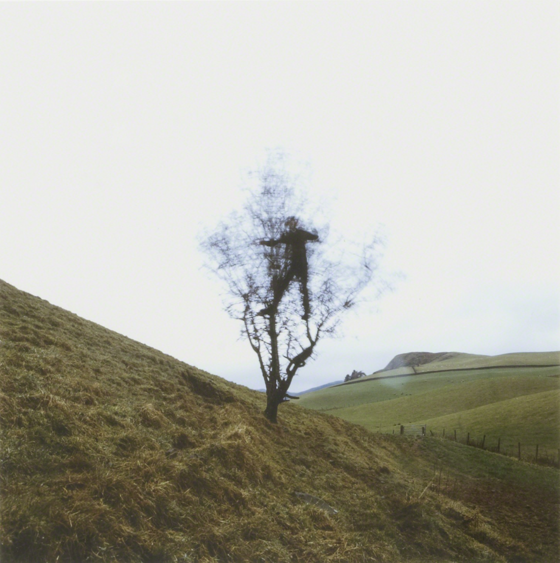 How I Saw the World Changed