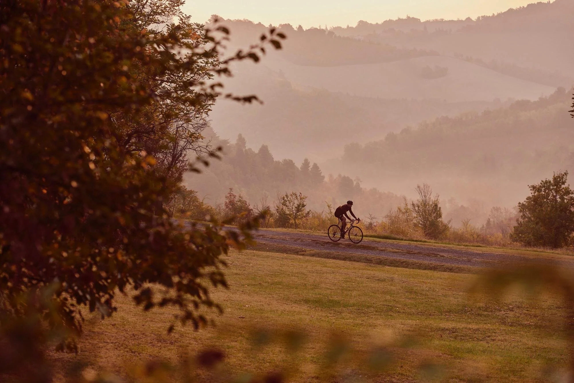 Heart Rate Zone Training