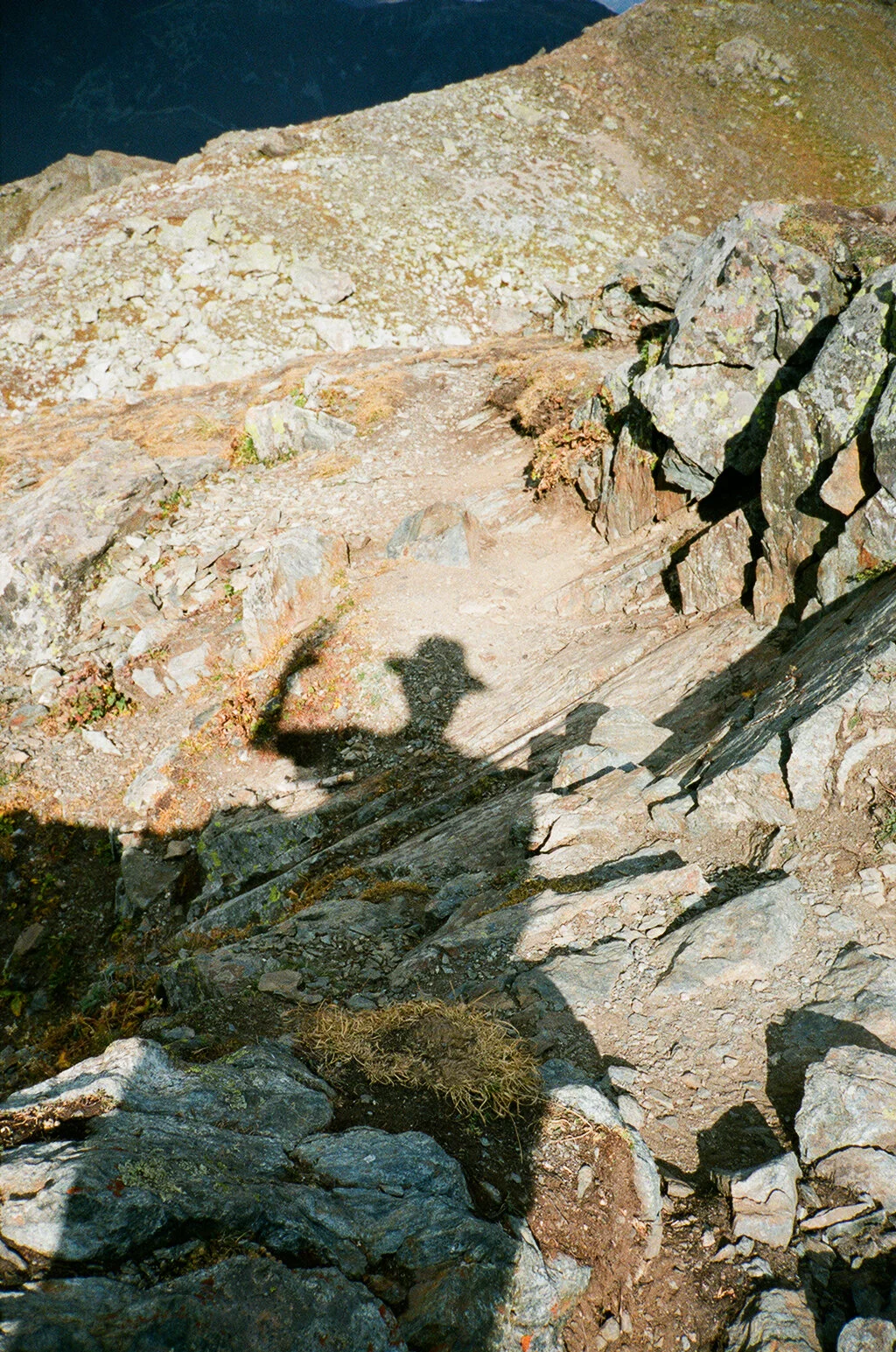 Creatives In Nature: Ildar Iksanov
