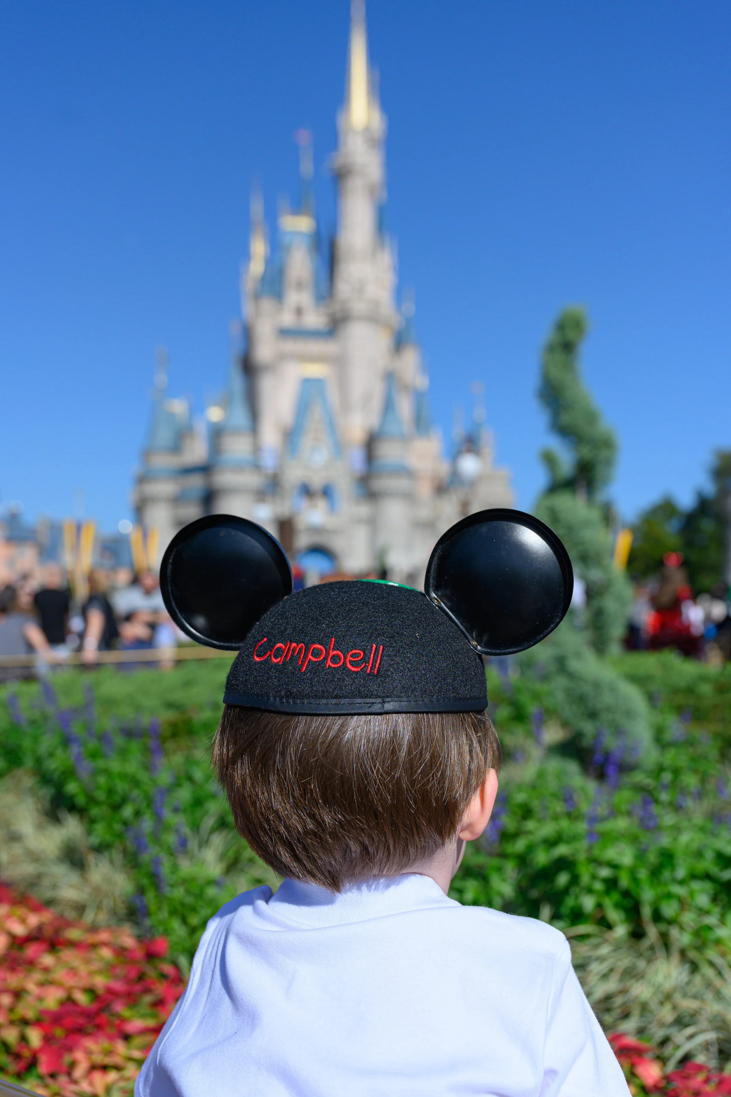 The magic of Disney (Copy)