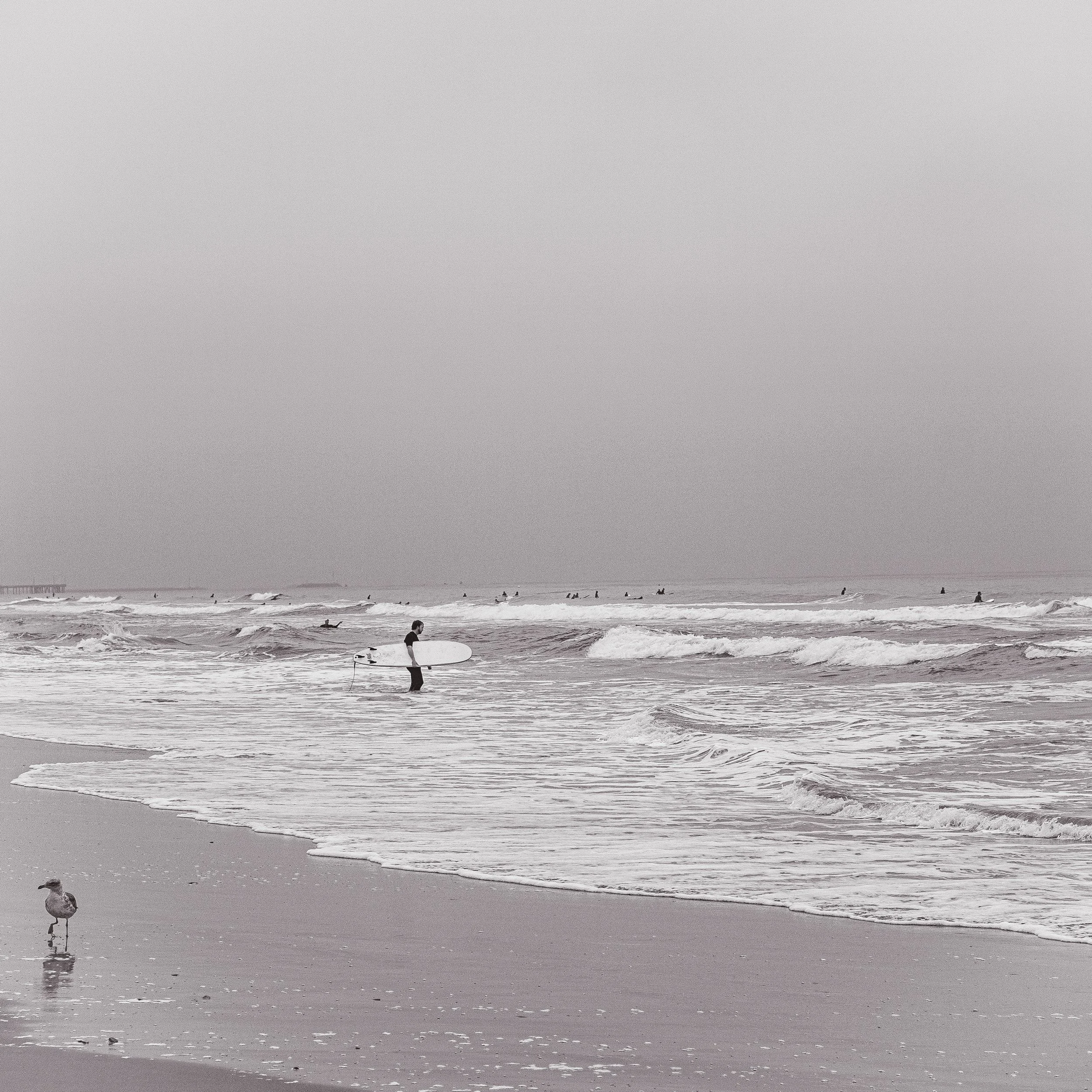 Santa Monica, CA (Copy)