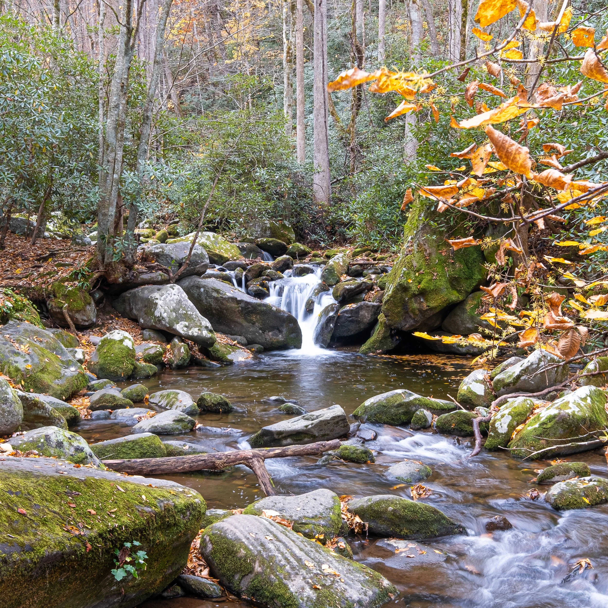 Great Smoky Mountains NP (Copy)