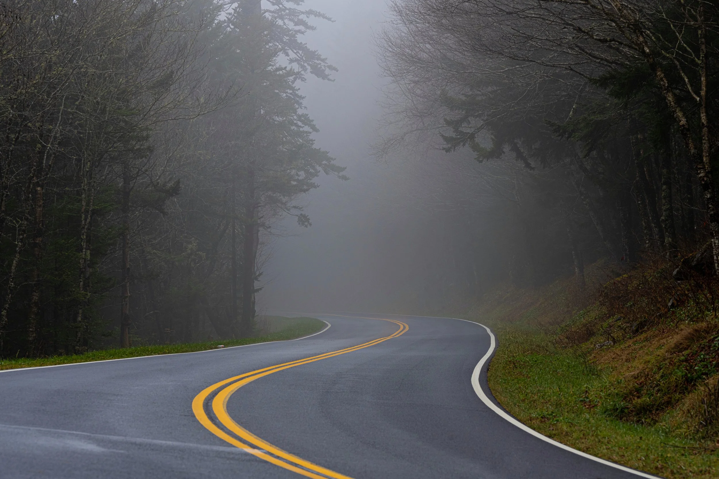 Smoky Foggy Road (1 of 1).jpeg