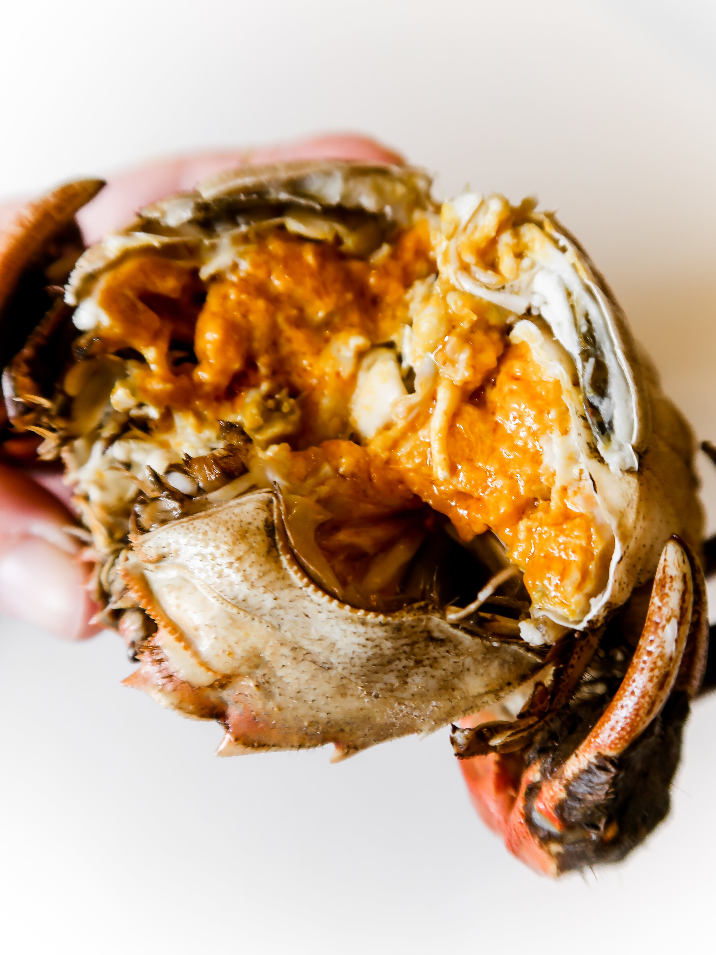 FOODTRAVELBABE Catchya Seafood Hairy Crabs-7090.jpg