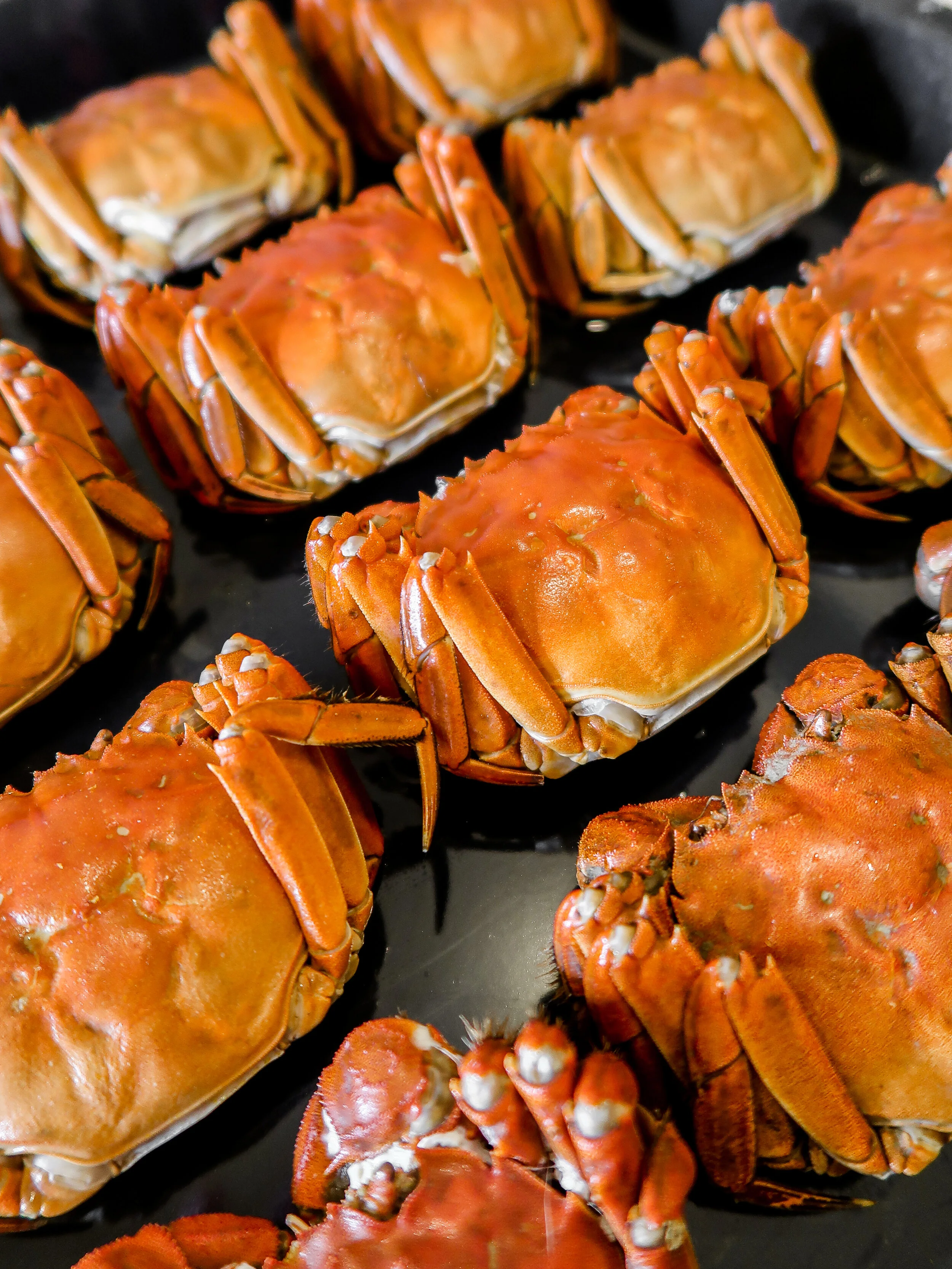 Where to Eat Hairy Crabs in Hong Kong — FOODTRAVELBABE