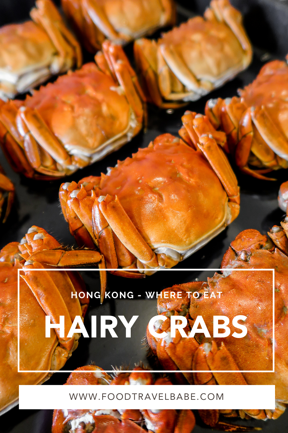 WHERE TO EAT HAIRY CRABS IN HONG KONG.png