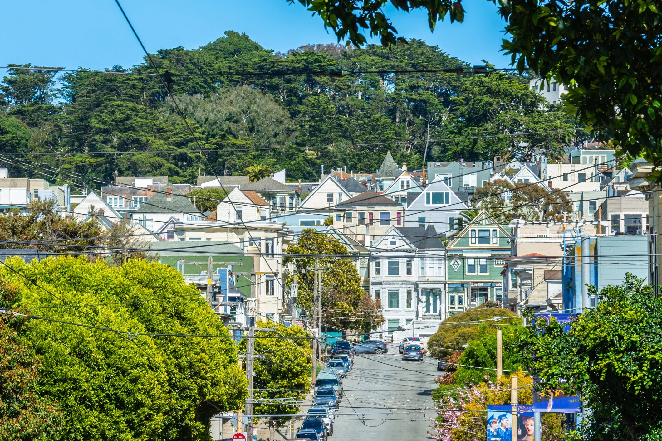 Cole Valley & Parnassus Heights: A Family-Friendly Neighborhood with Investment Potential