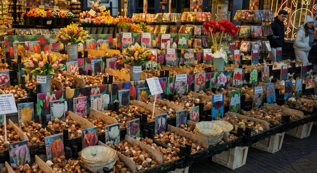 Spring Sellers Have an Edge. Here’s Why.